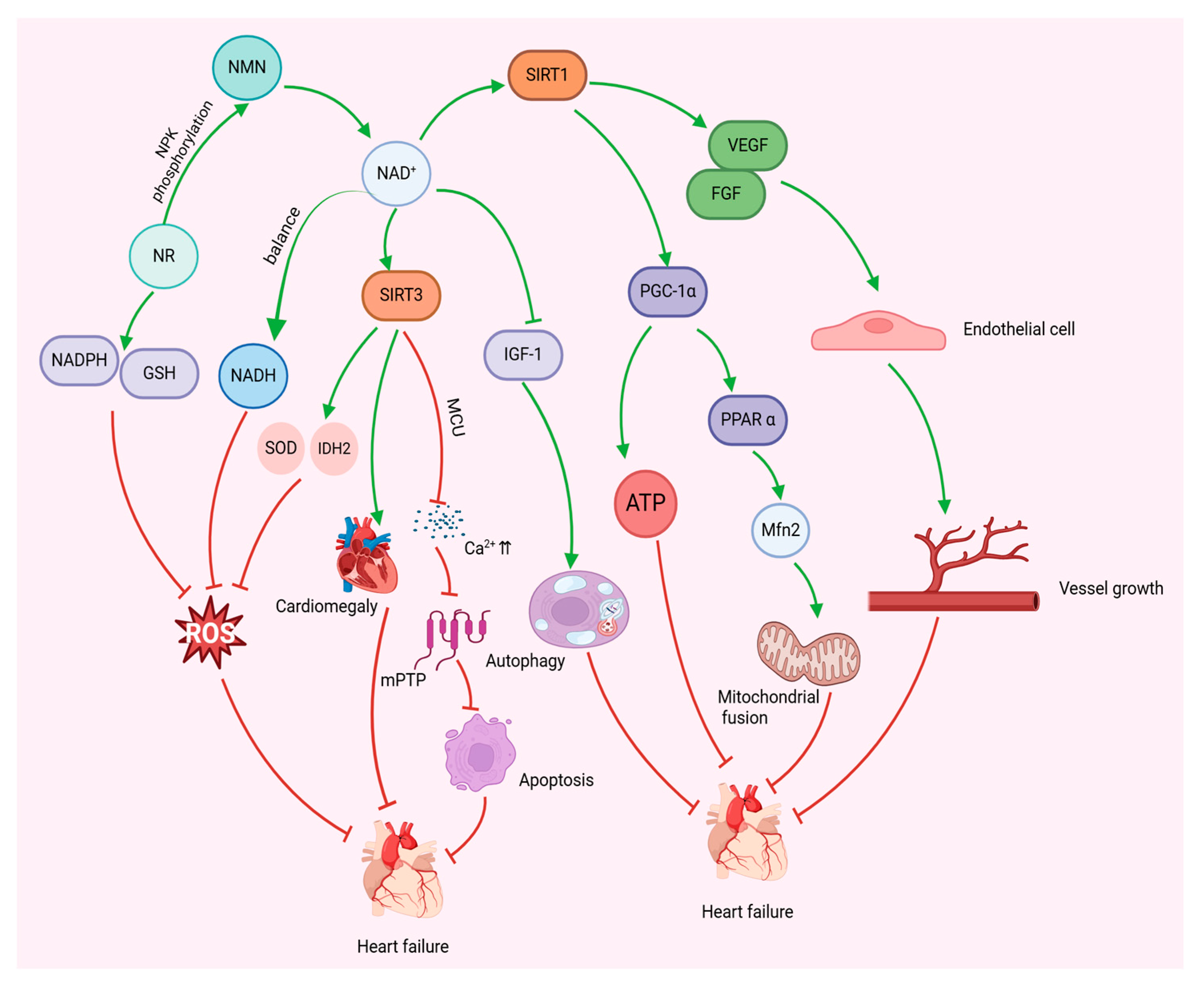 Nutrients 17 01855 g003