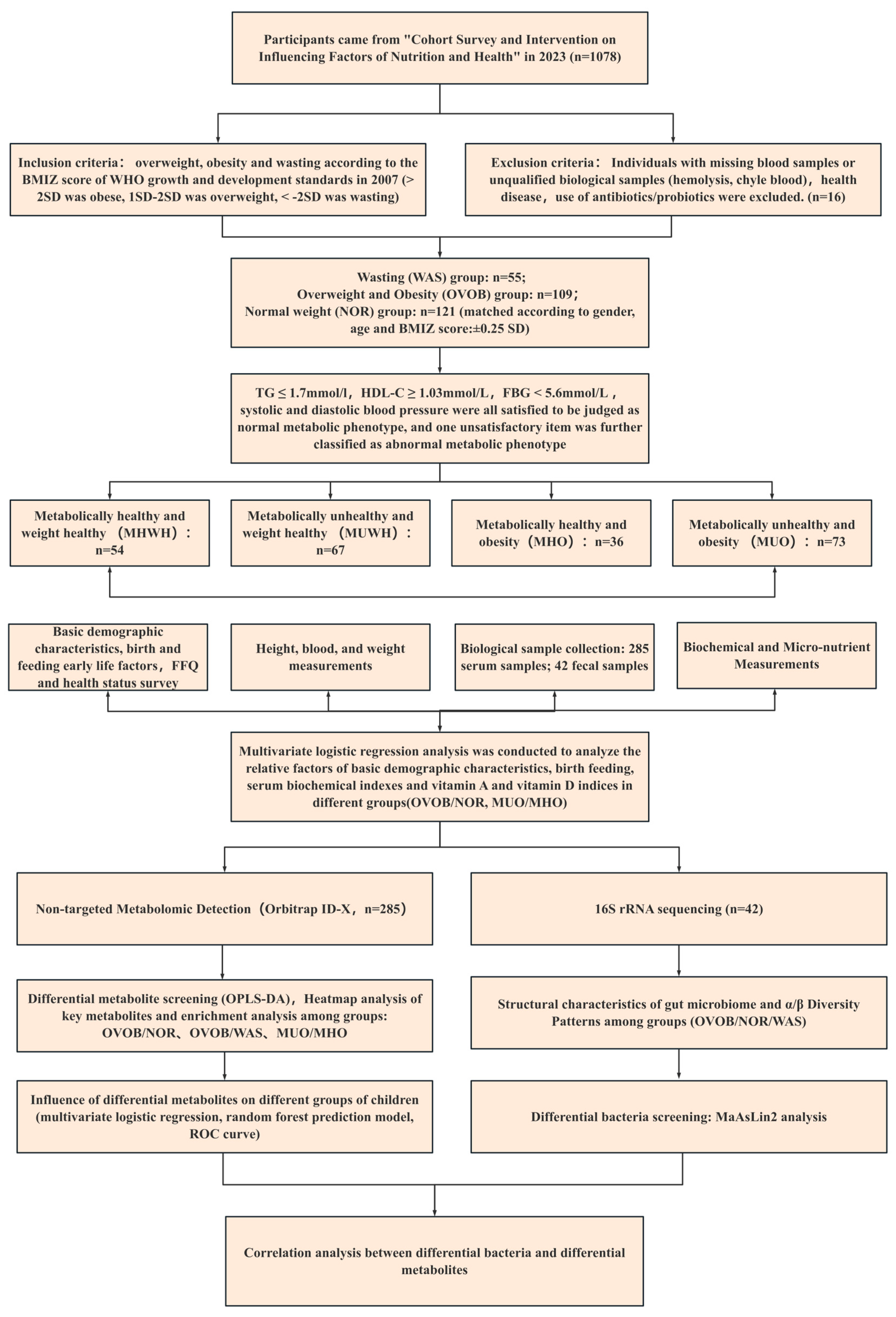 Nutrients 17 01876 g001