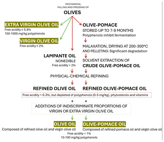 Nutrients 17 01905 g002