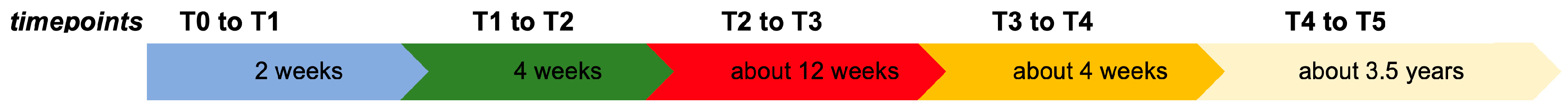 Nutrients 17 01916 g001