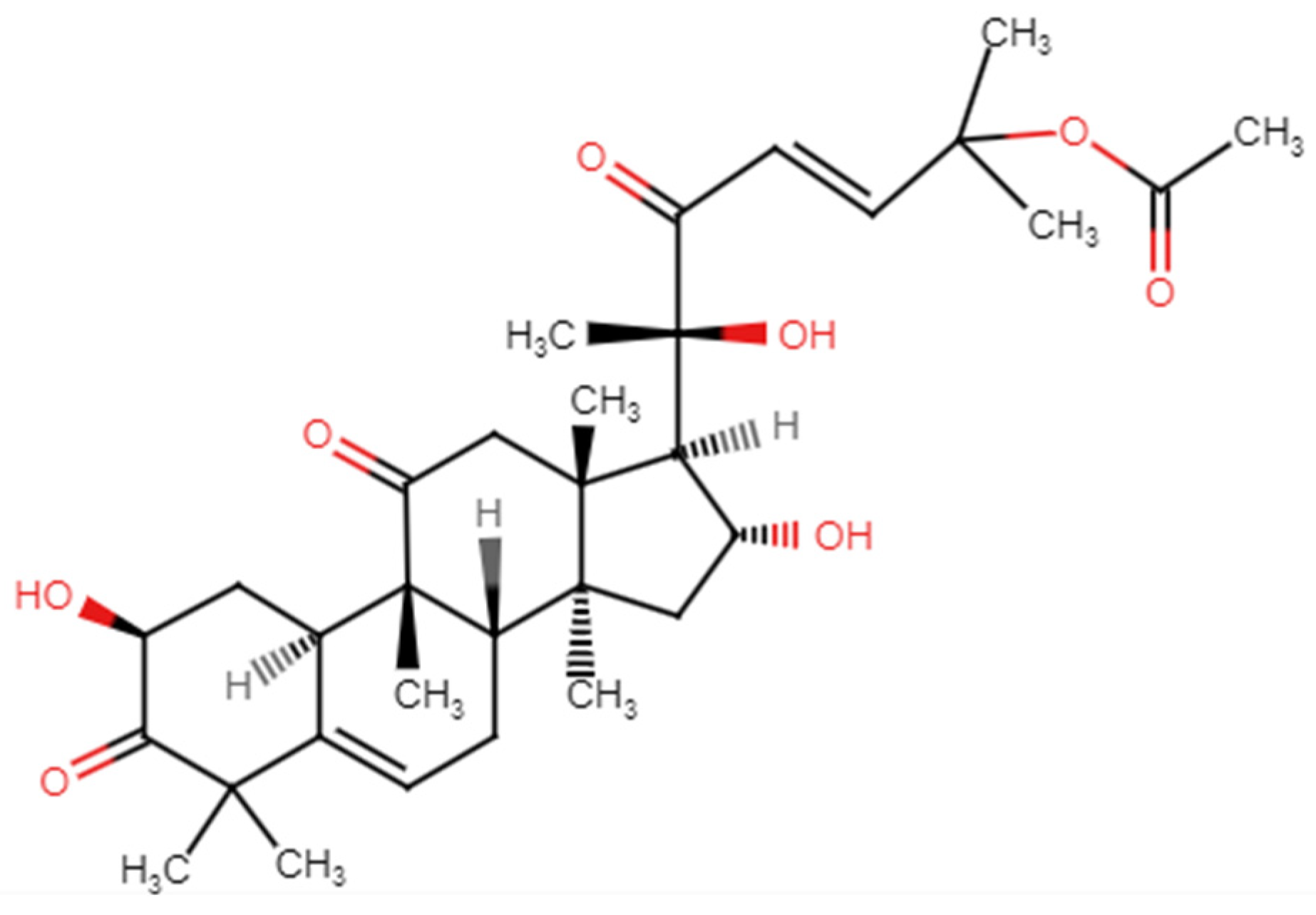 Nutrients 17 01939 g003 Nutrients 17 01939 g003