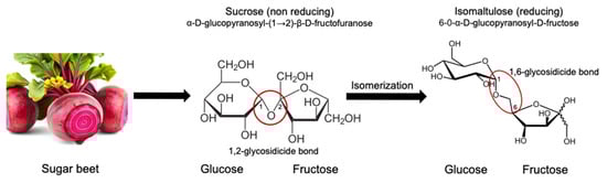Nutrients 17 01940 g001