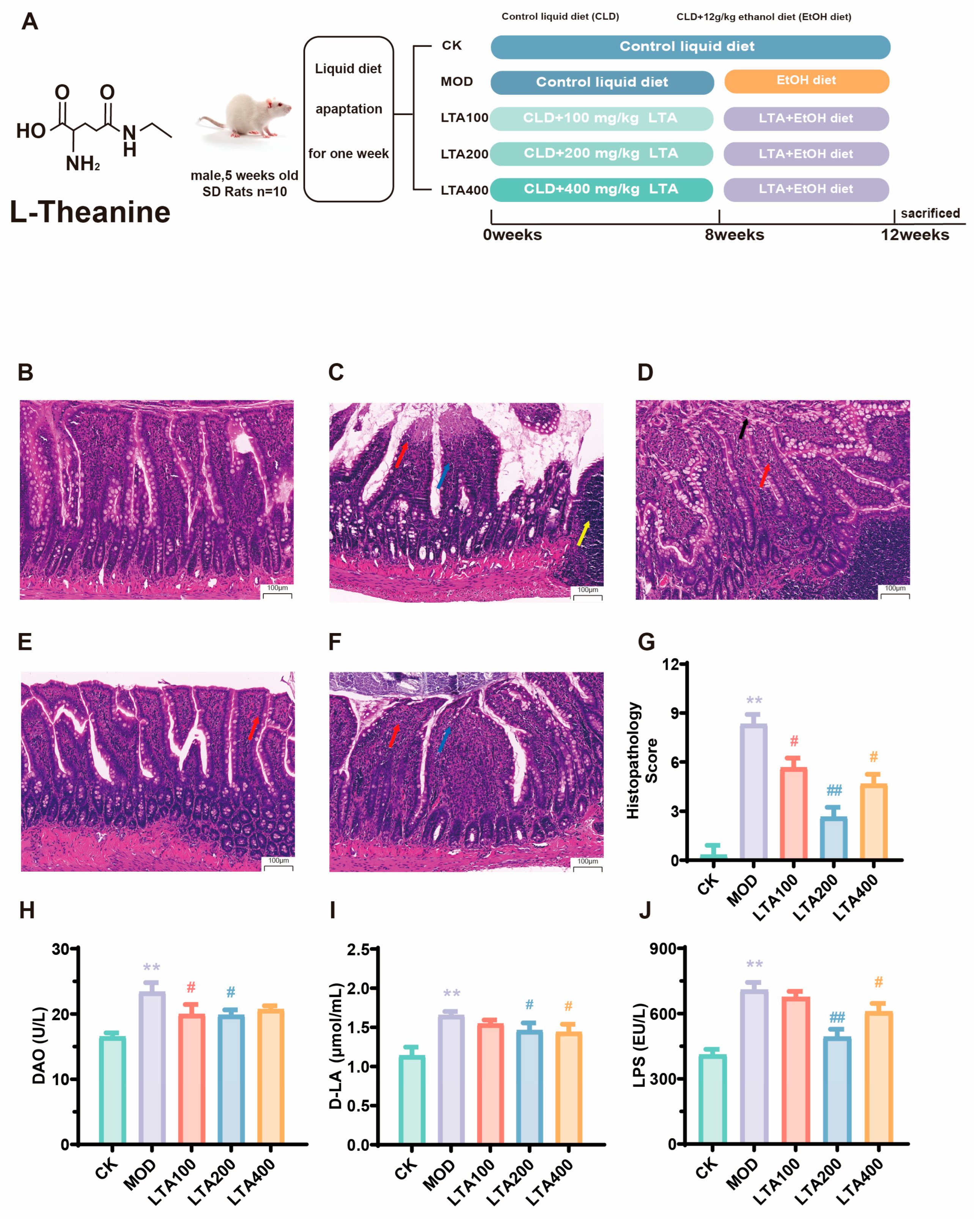 Nutrients 17 01943 g001