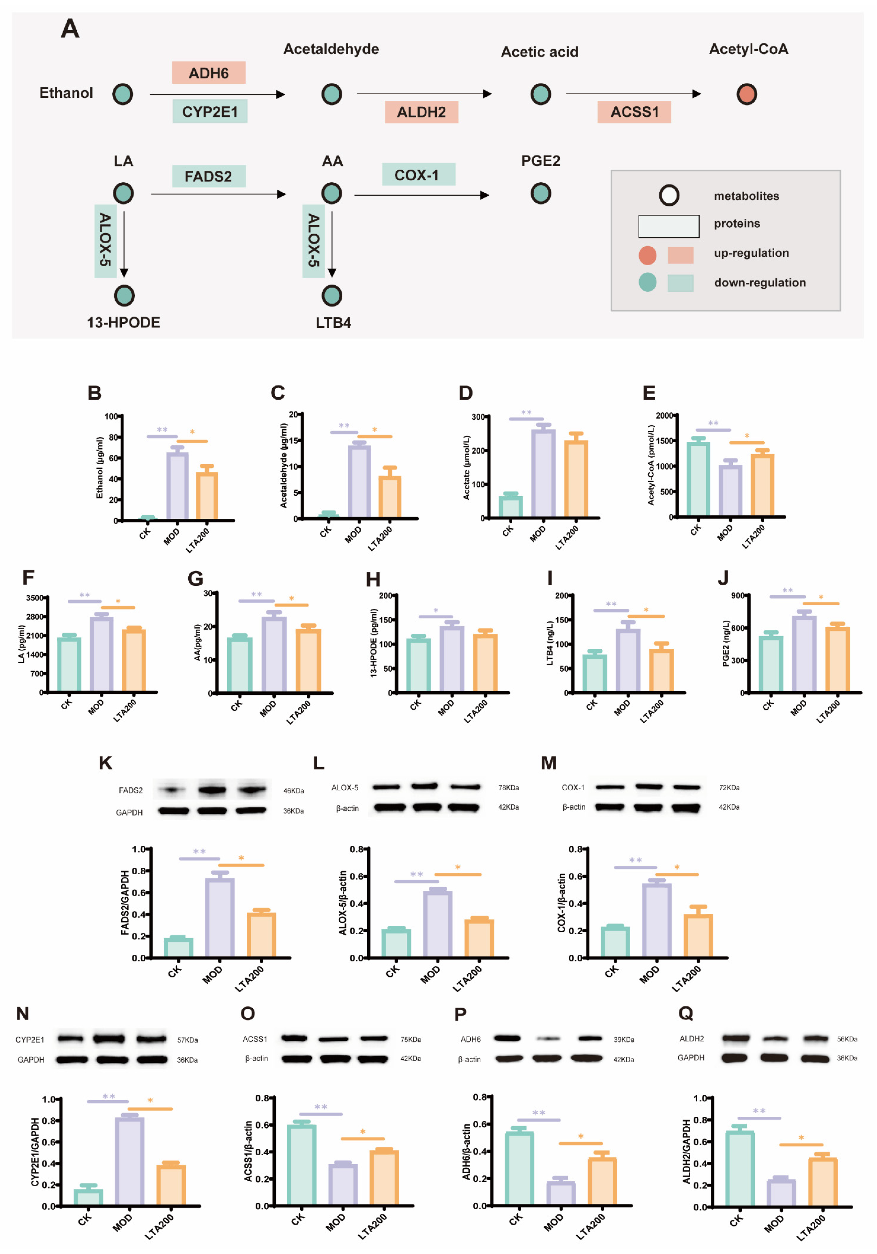 Nutrients 17 01943 g006