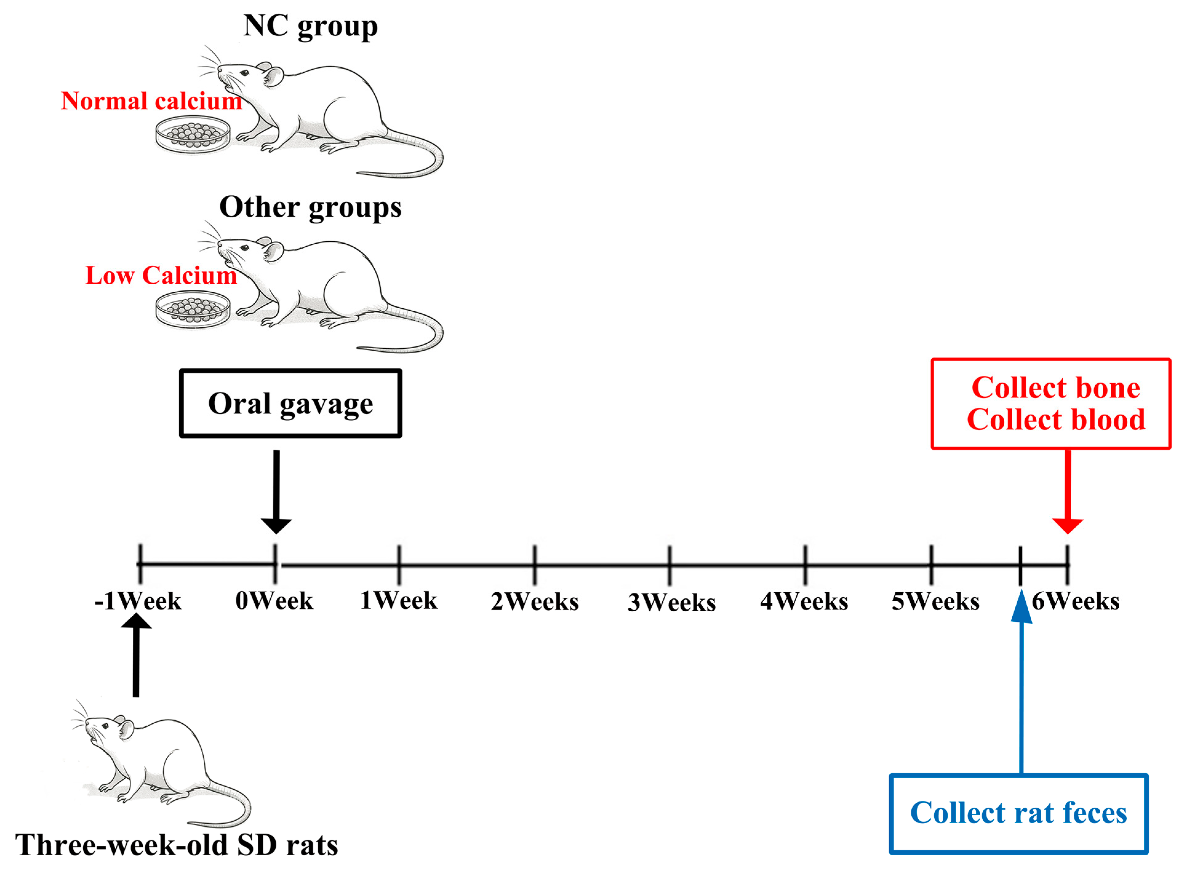 Nutrients 17 01966 g001