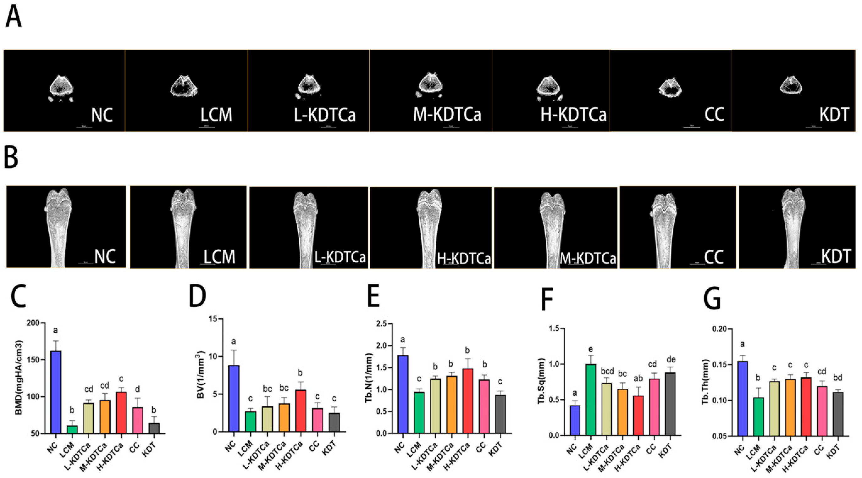 Nutrients 17 01966 g006