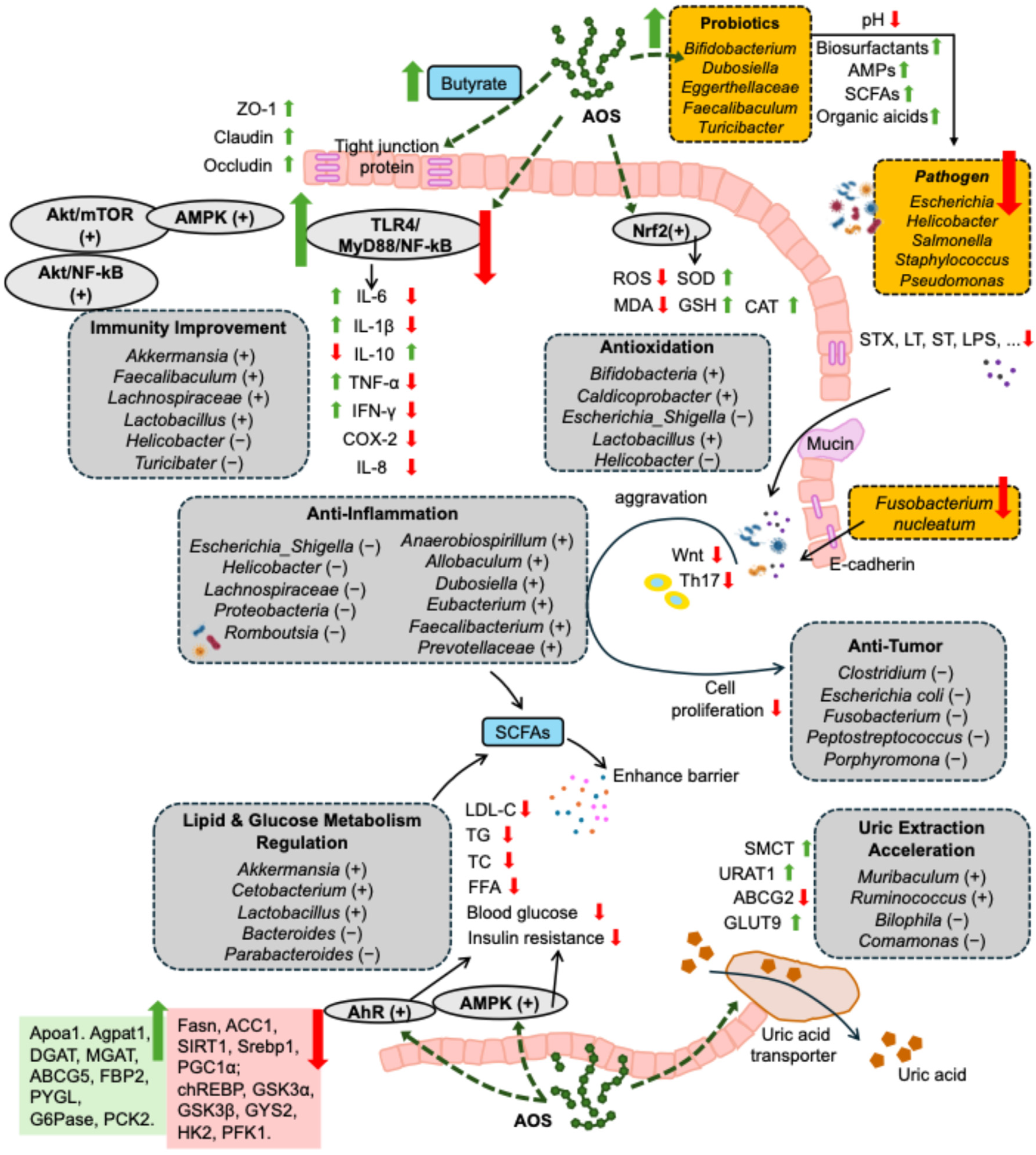 Nutrients 17 01977 g002