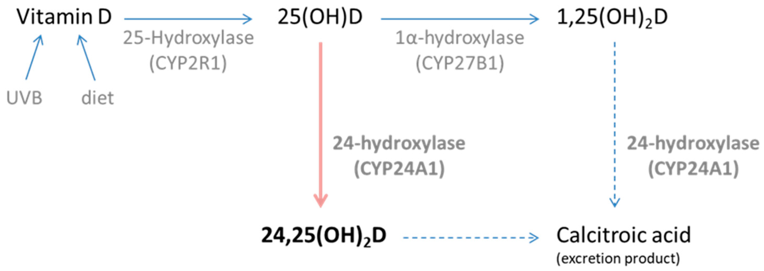 Nutrients 17 02039 g001 Nutrients 17 02039 g001