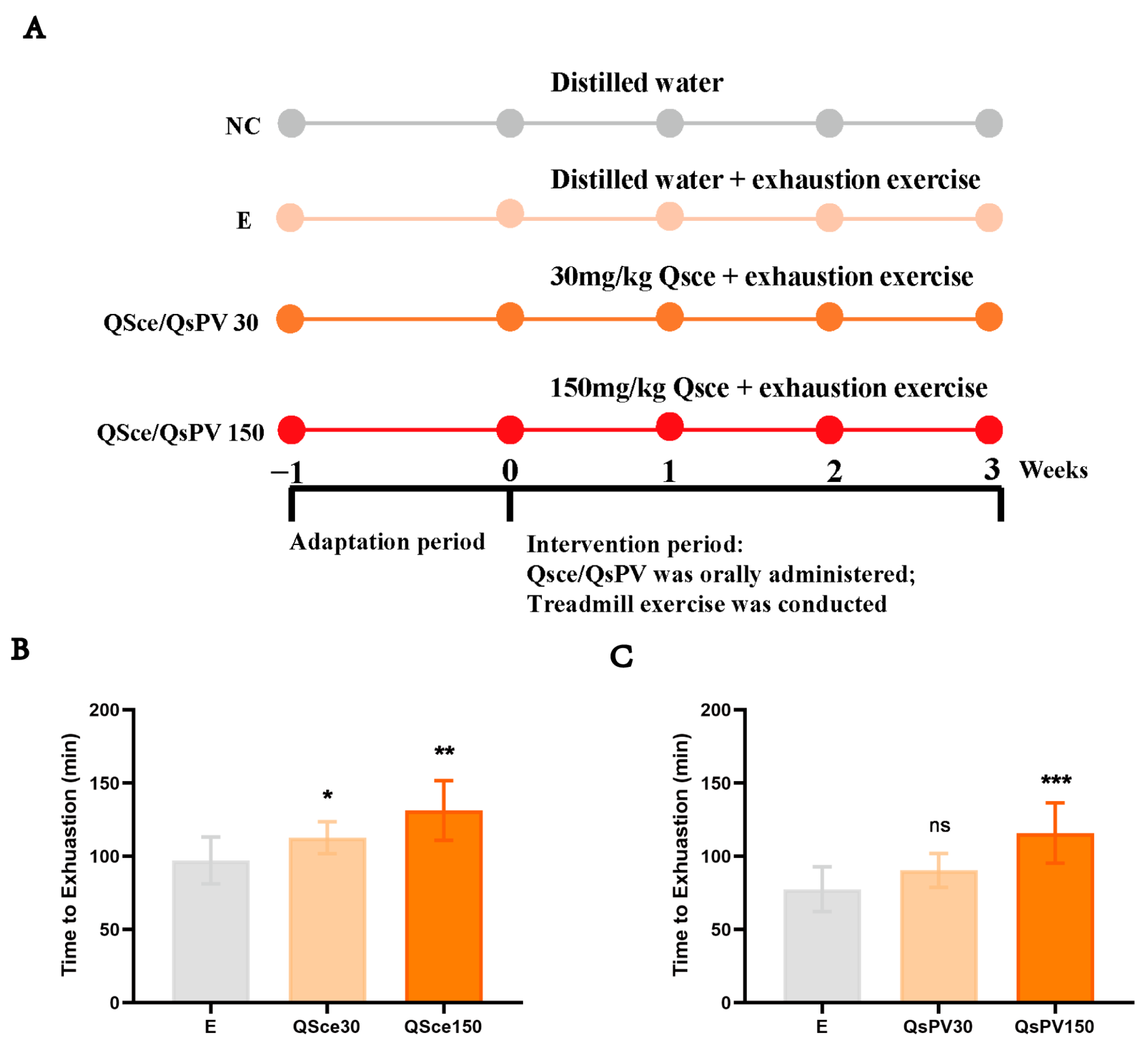 Nutrients 17 02043 g001