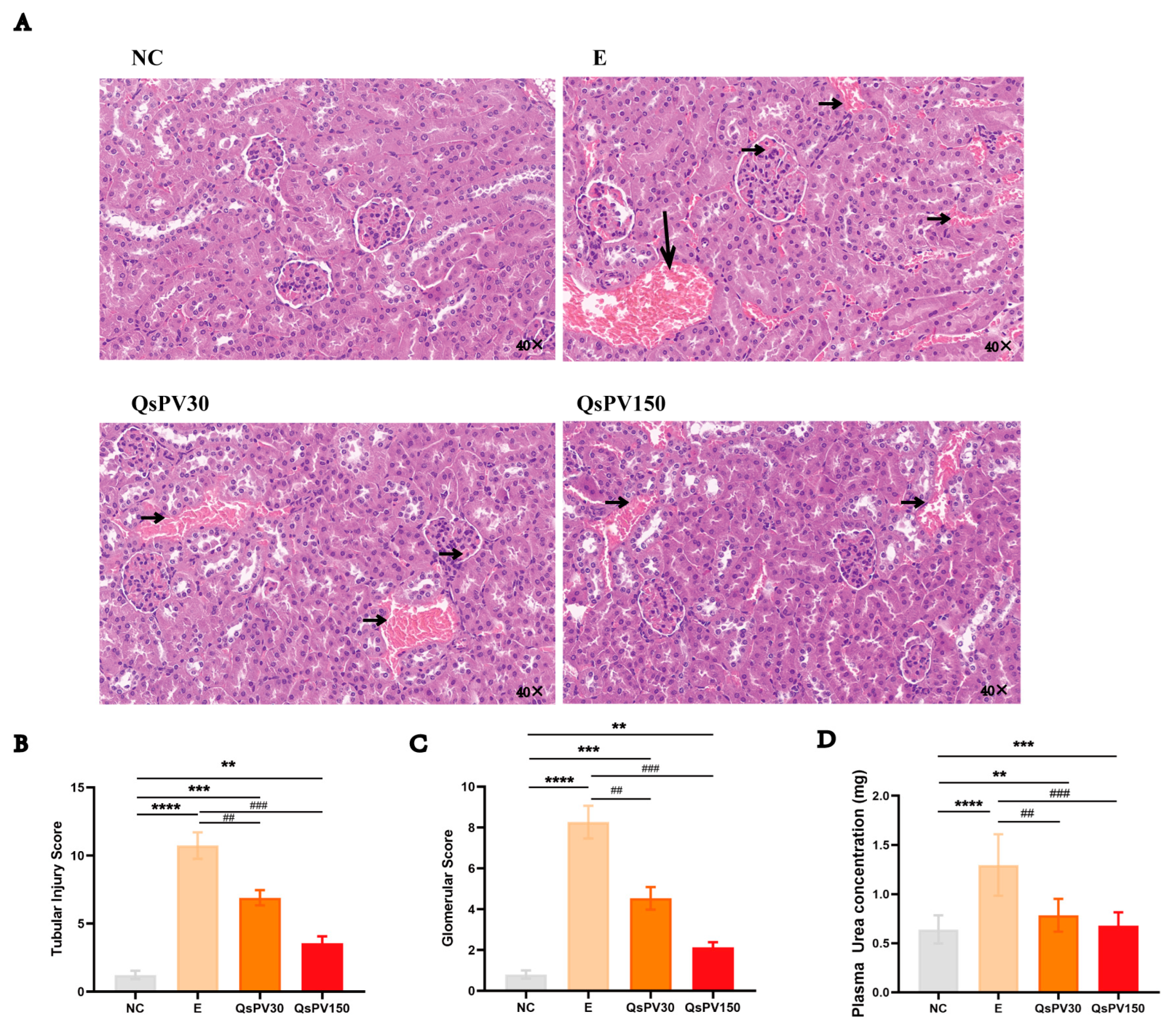 Nutrients 17 02043 g004
