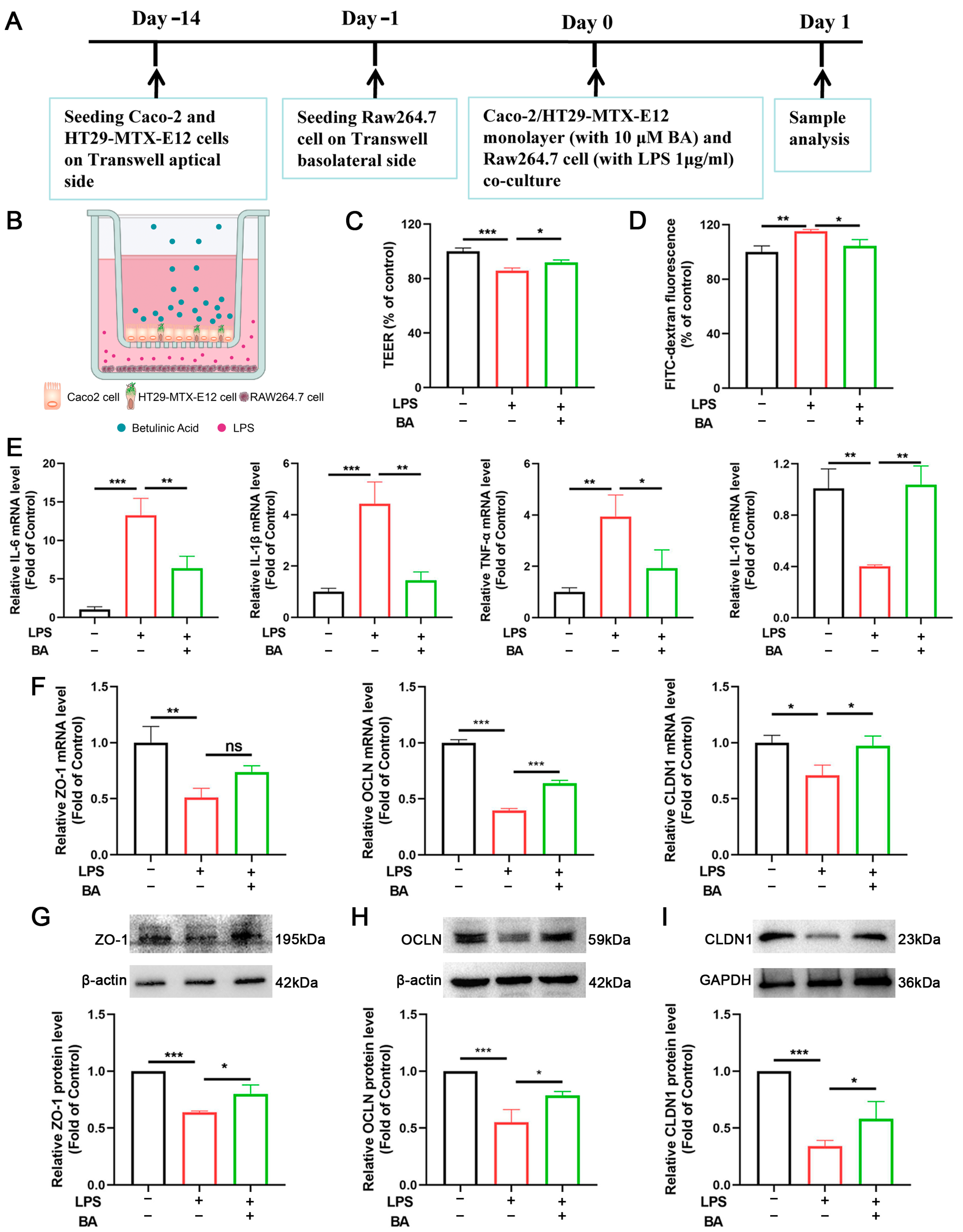 Nutrients 17 02052 g003