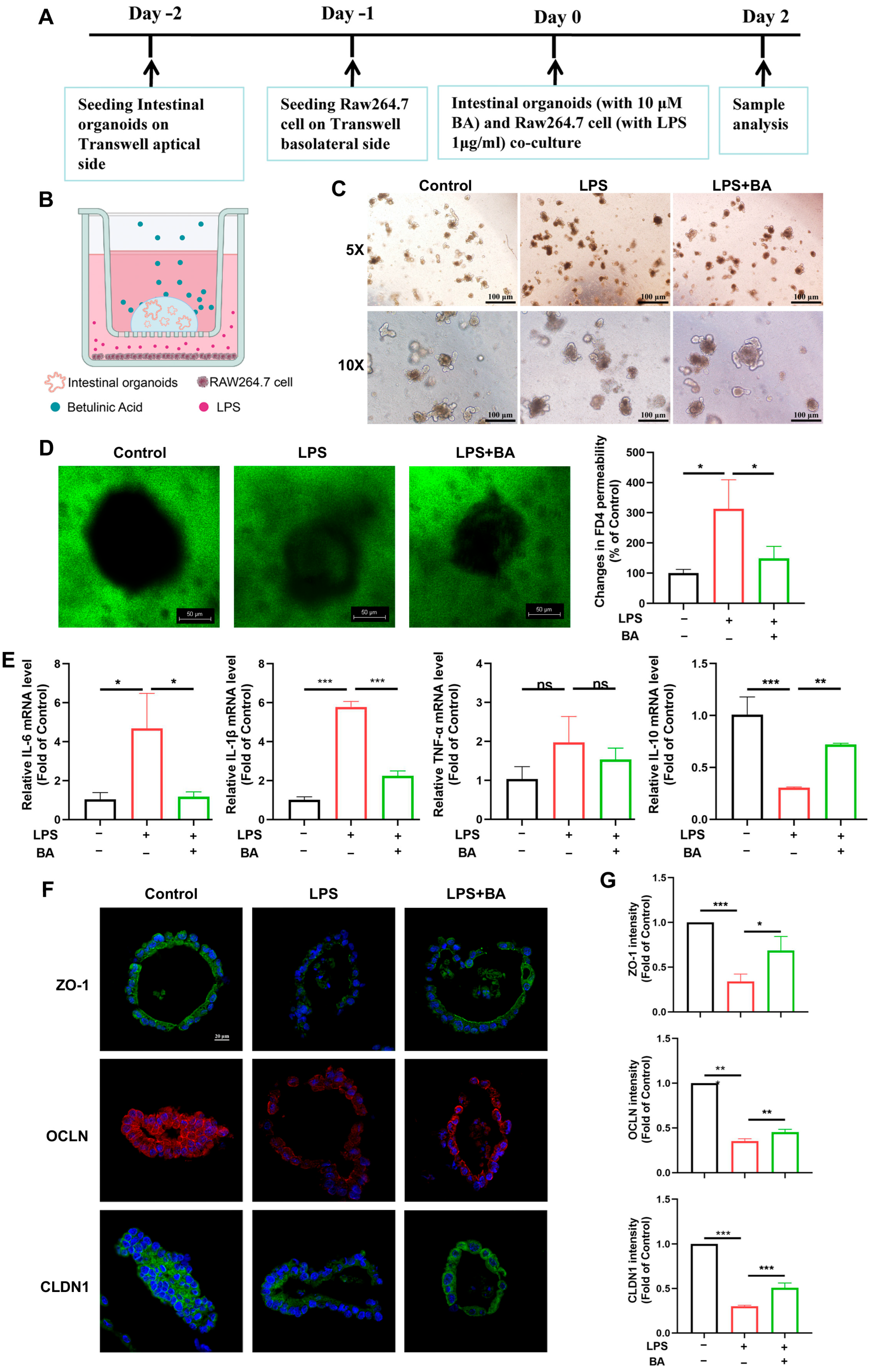 Nutrients 17 02052 g004