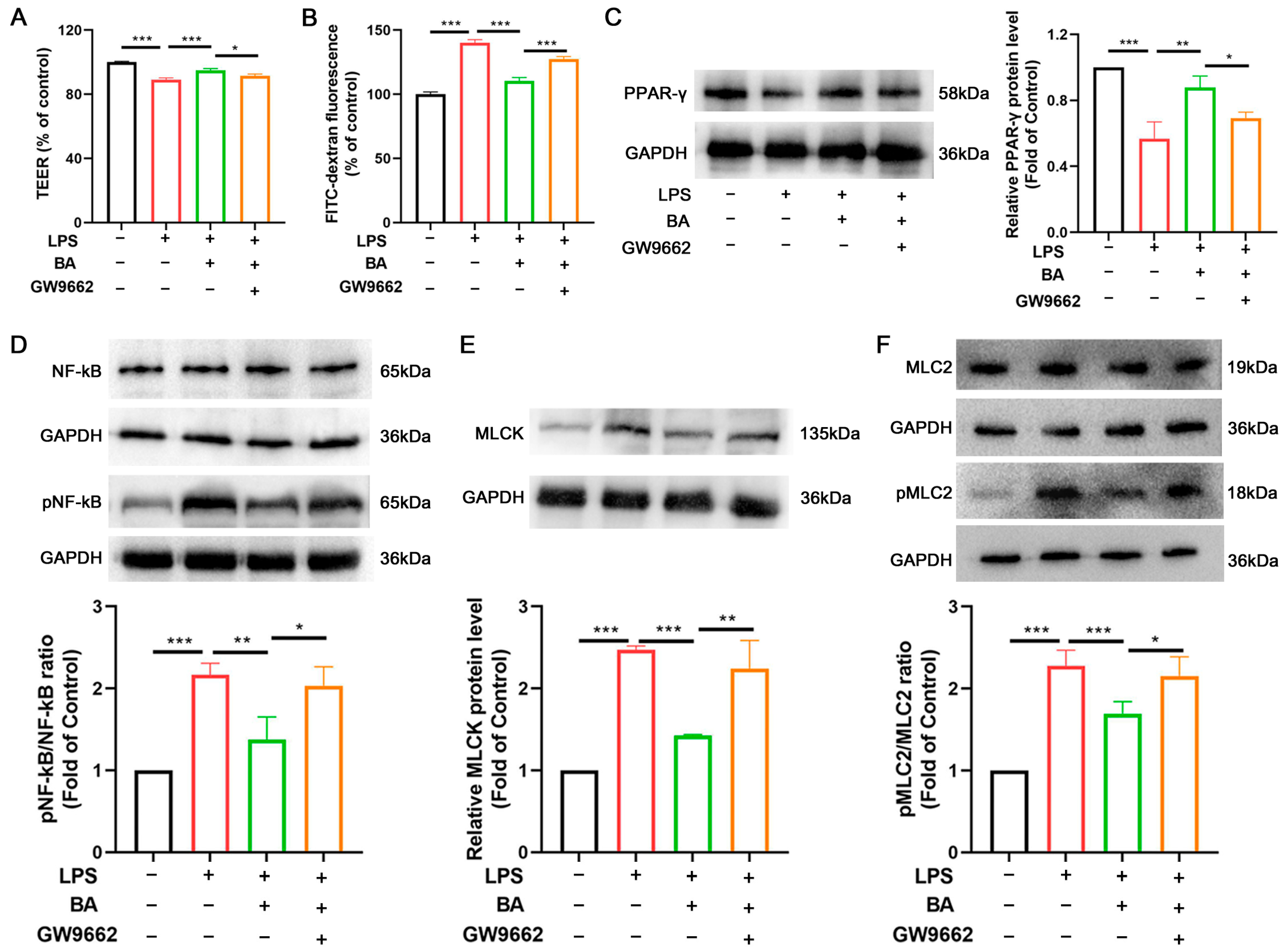 Nutrients 17 02052 g006