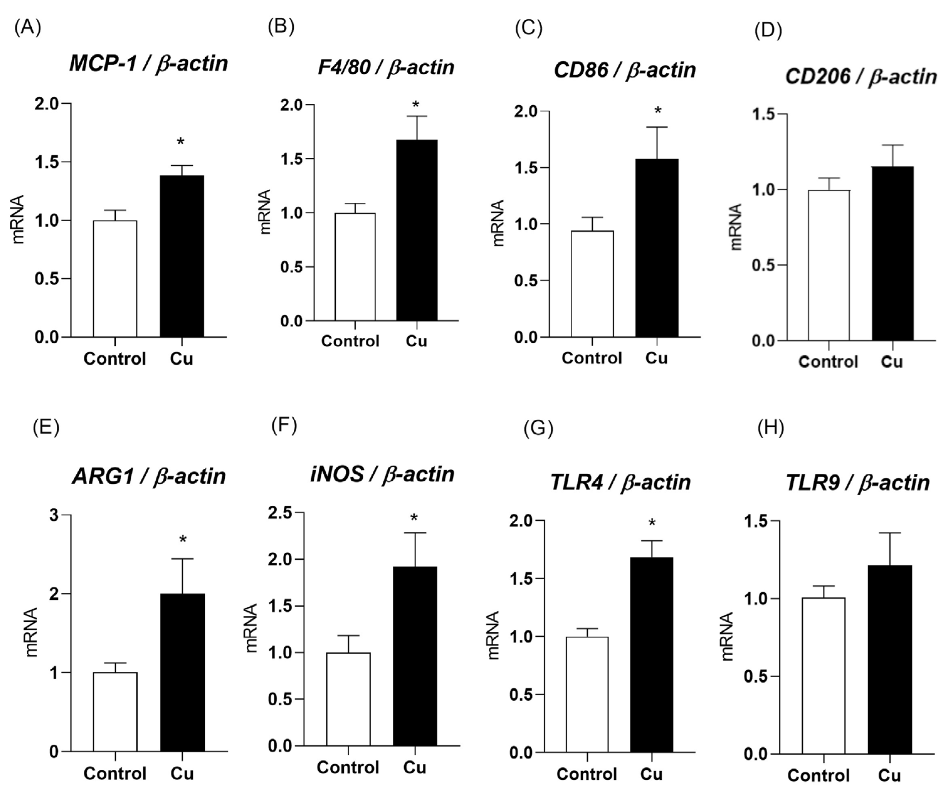 Nutrients 17 02082 g003 Nutrients 17 02082 g003