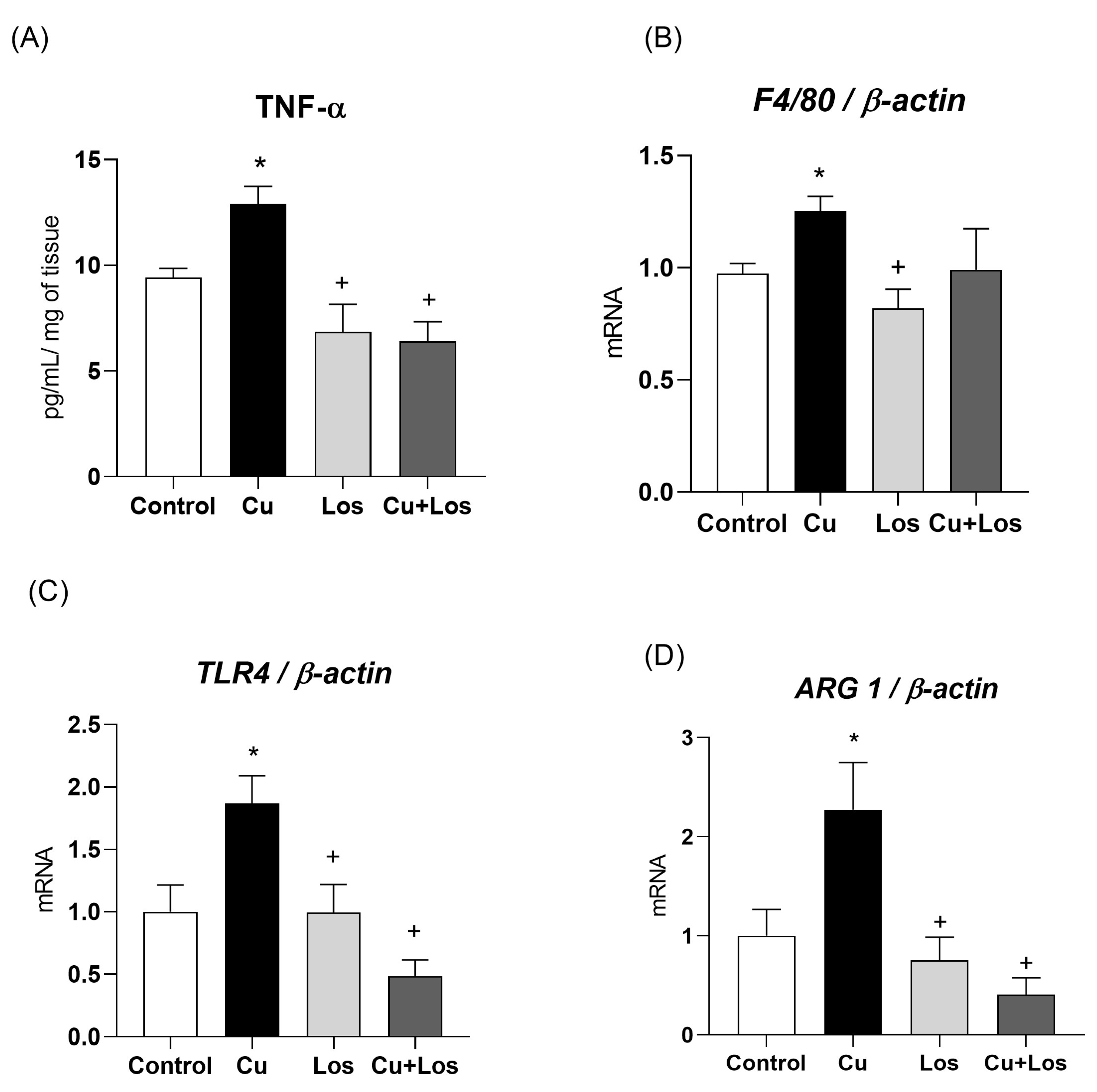 Nutrients 17 02082 g005 Nutrients 17 02082 g005