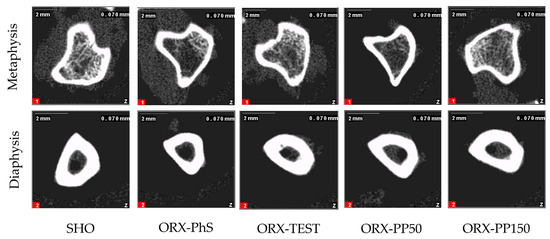 Nutrients 17 02110 g0a1