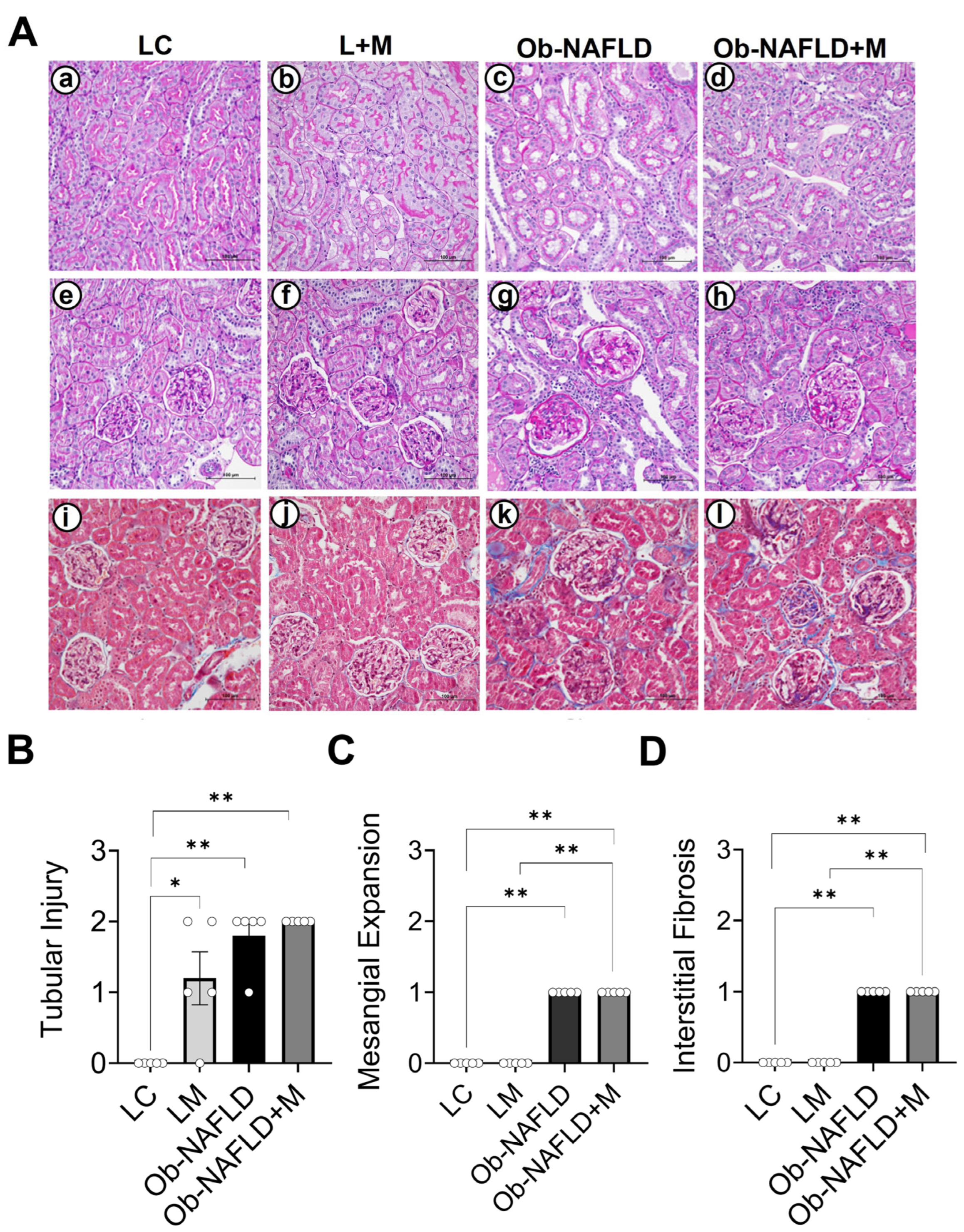 Nutrients 17 02115 g001