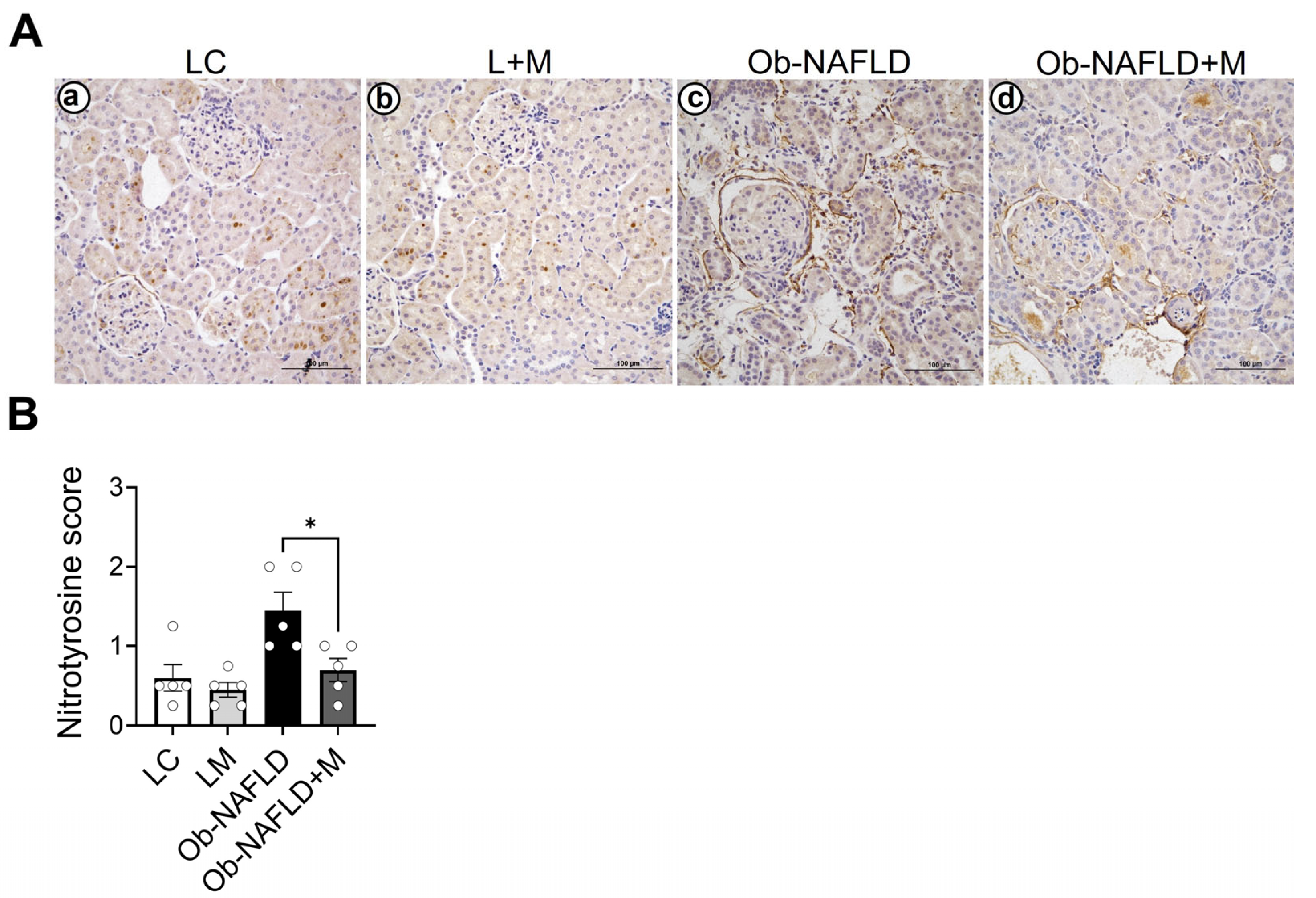 Nutrients 17 02115 g002