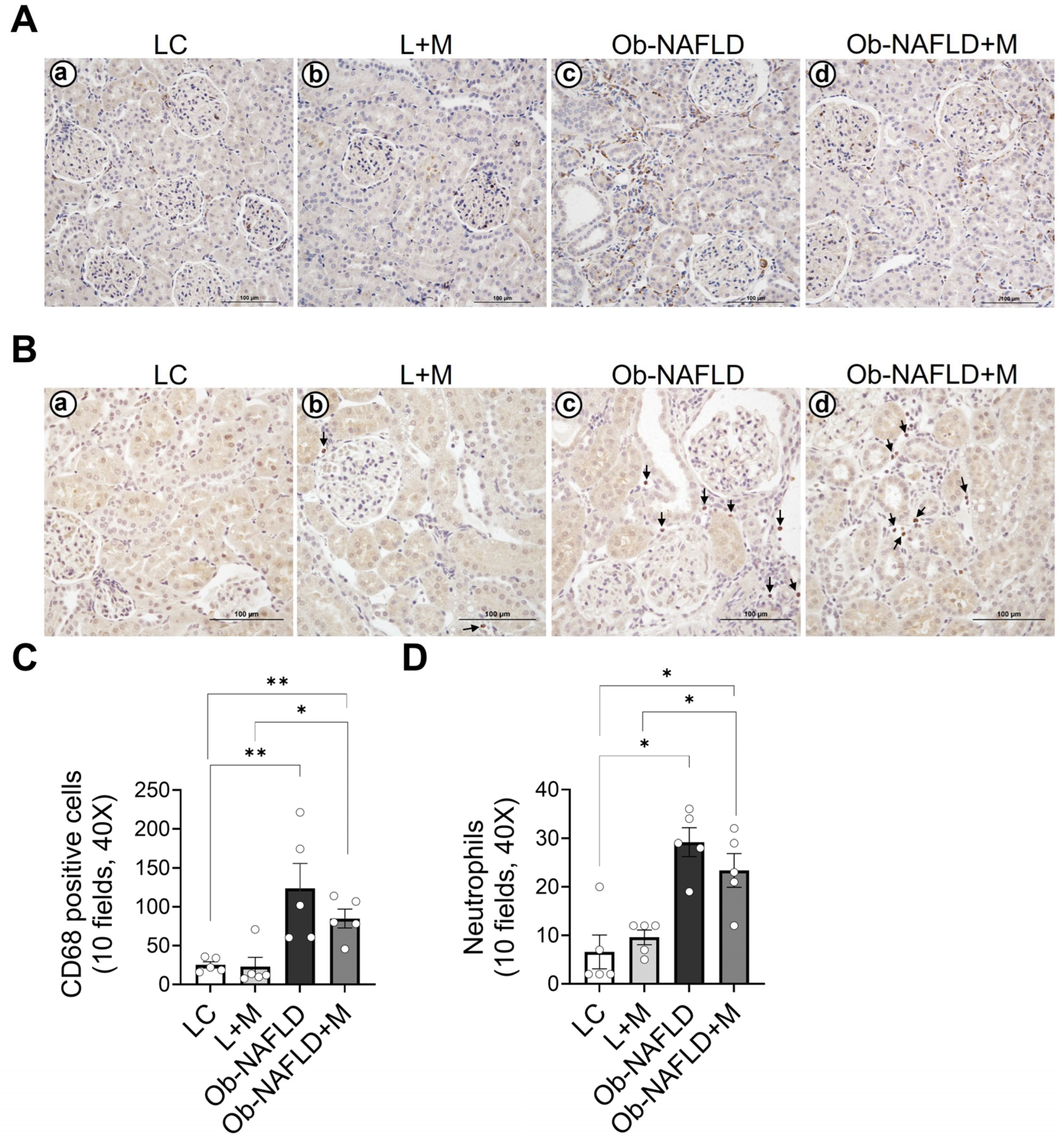 Nutrients 17 02115 g003