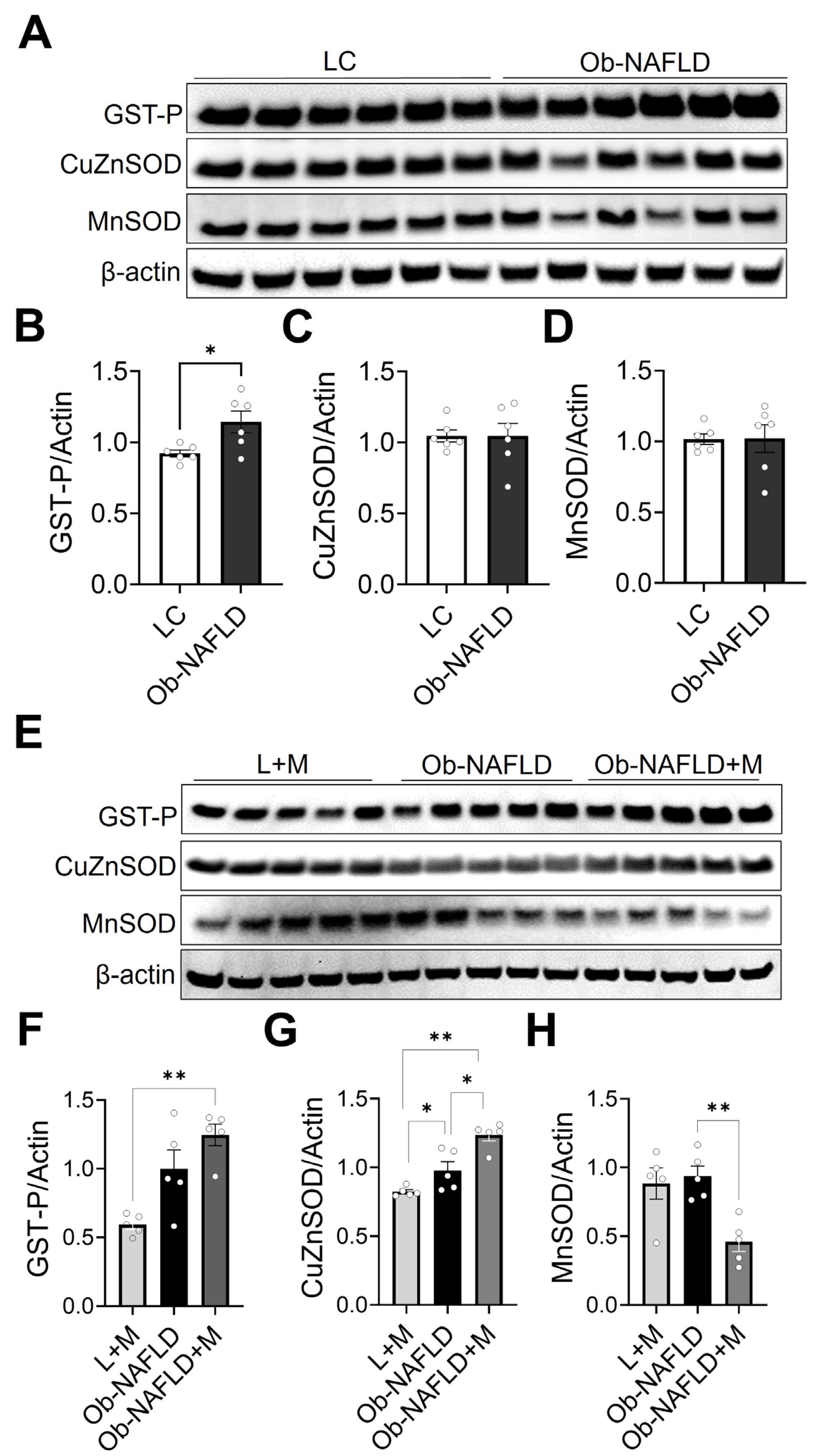 Nutrients 17 02115 g005