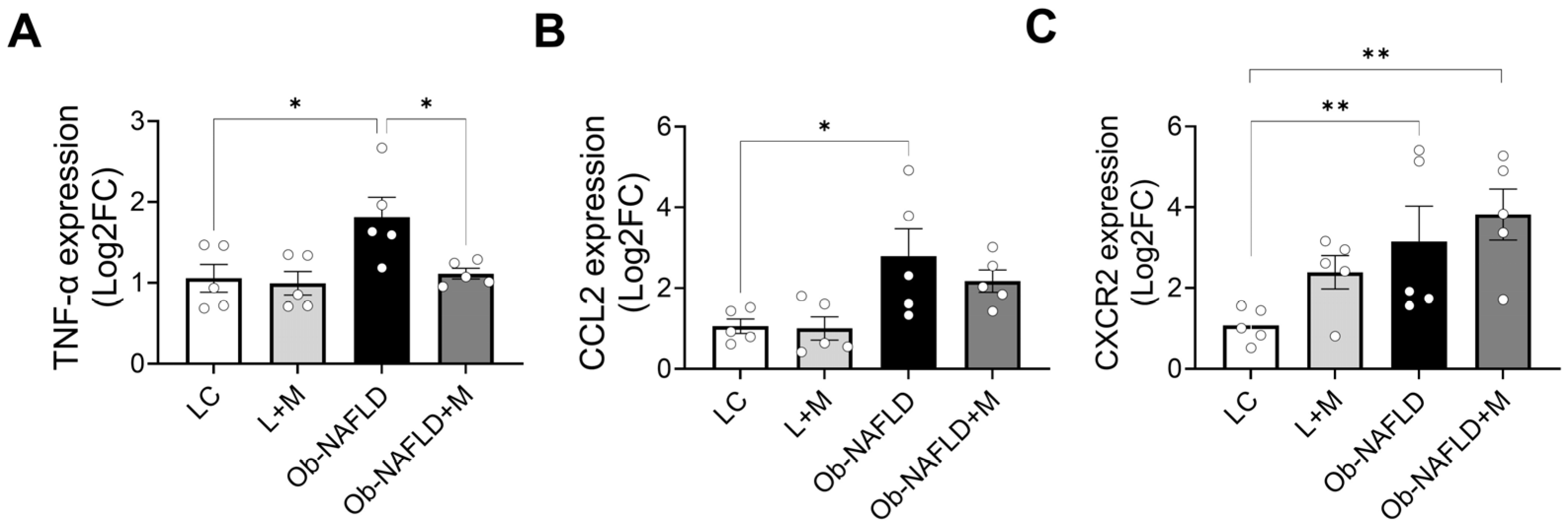 Nutrients 17 02115 g006