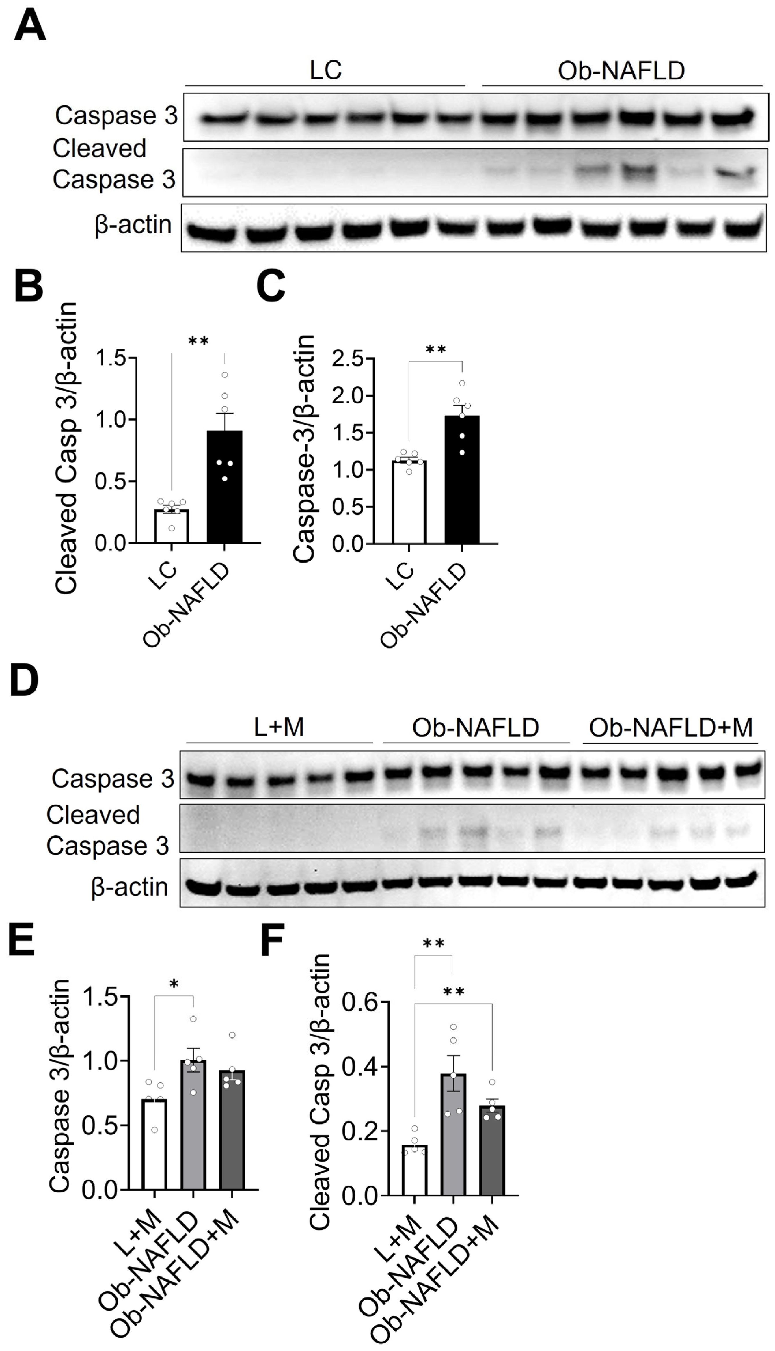 Nutrients 17 02115 g007