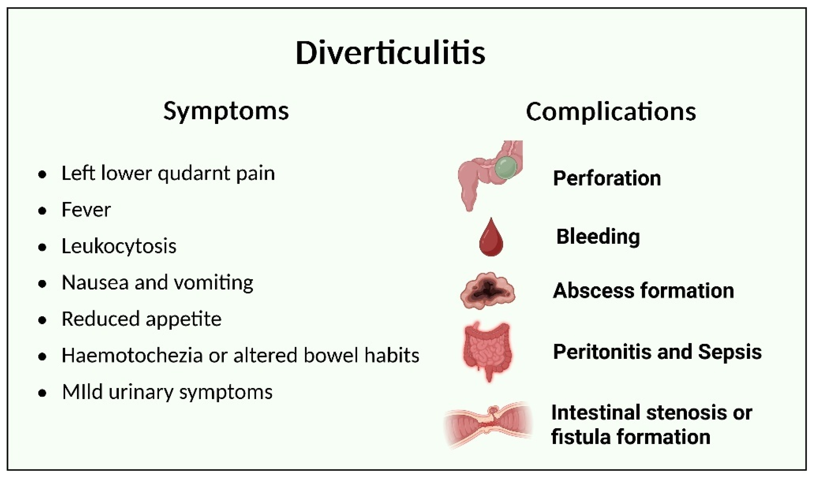 Nutrients 17 02122 g002 Nutrients 17 02122 g002