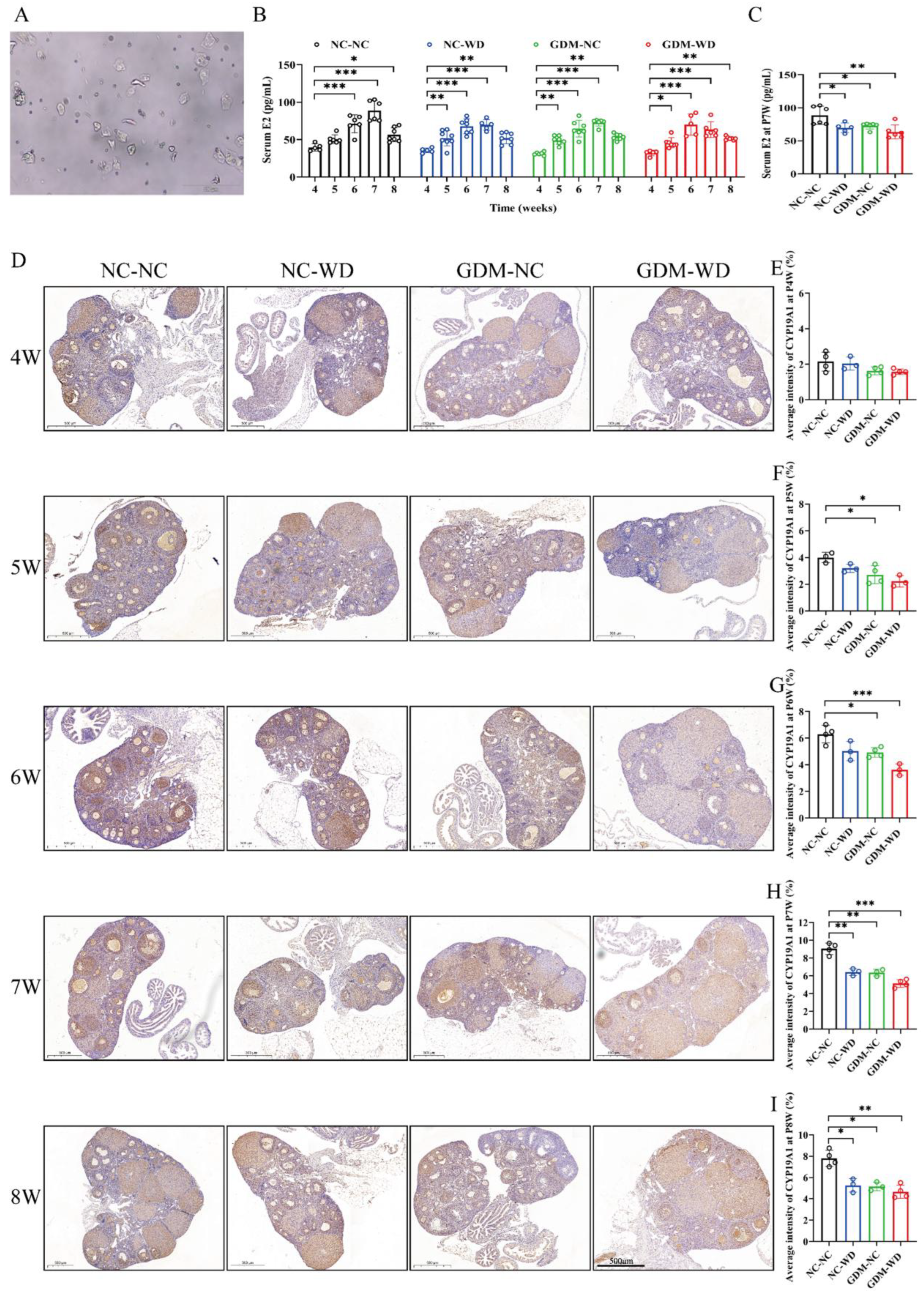 Nutrients 17 02128 g003