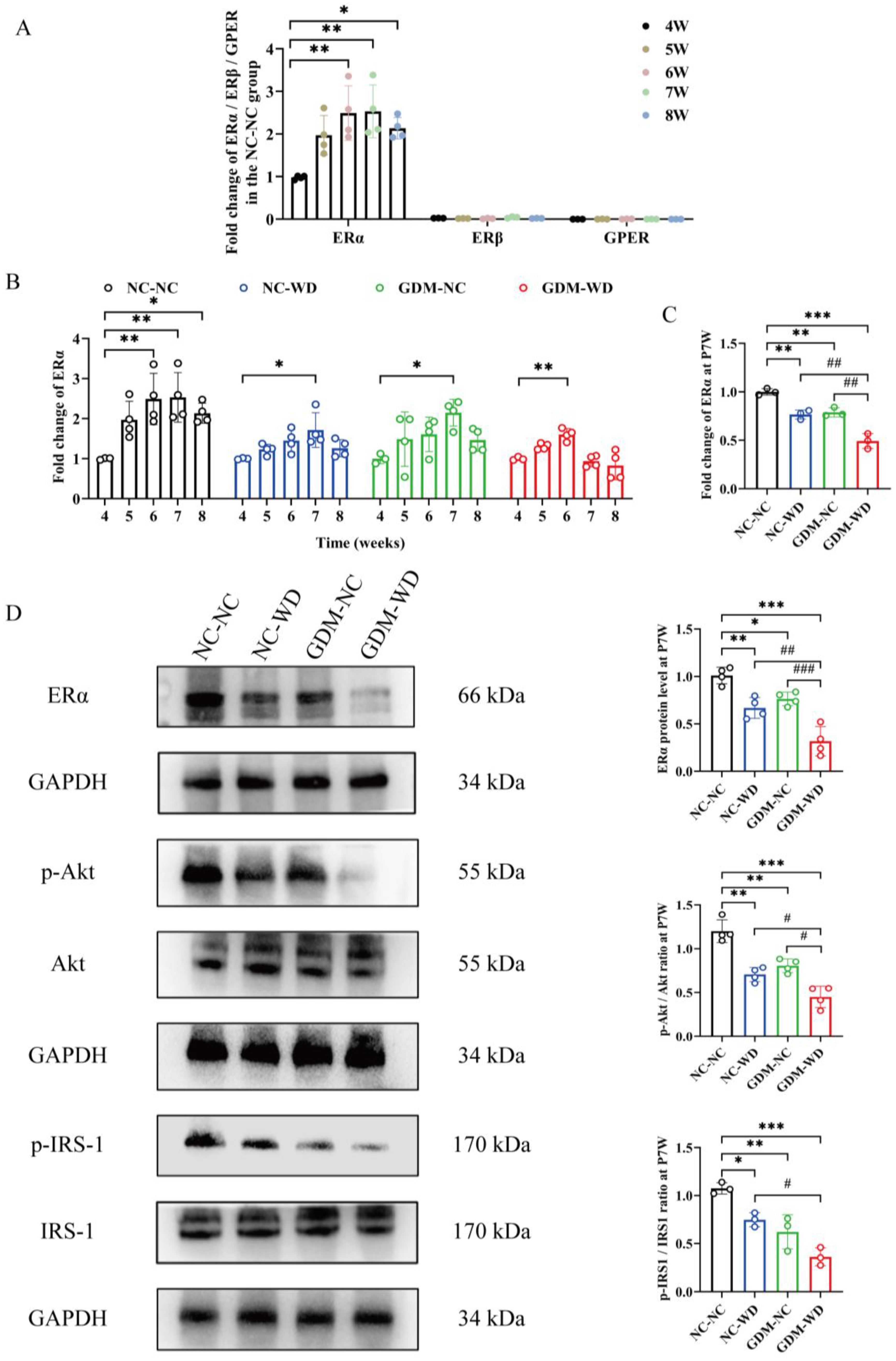 Nutrients 17 02128 g006