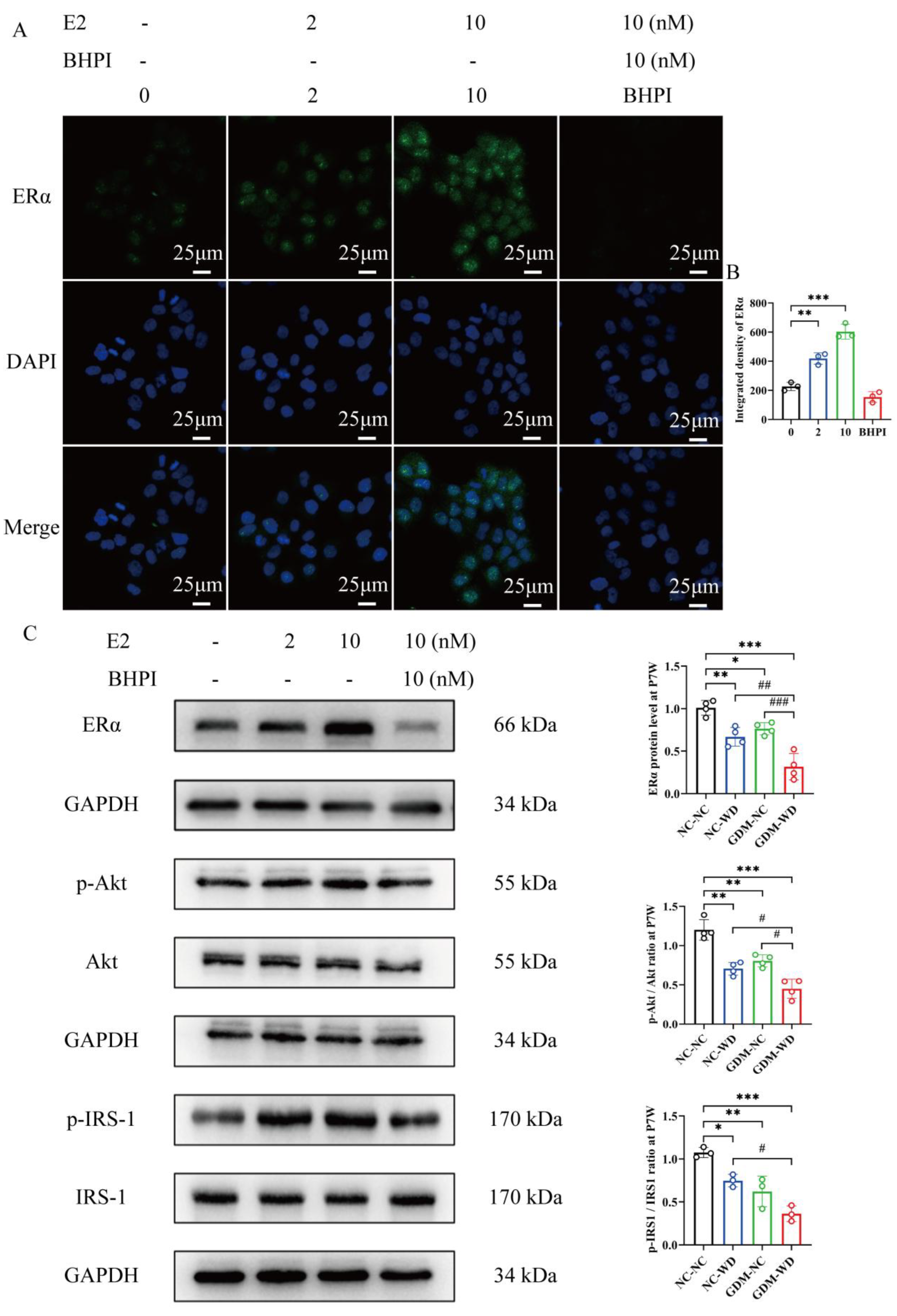Nutrients 17 02128 g007