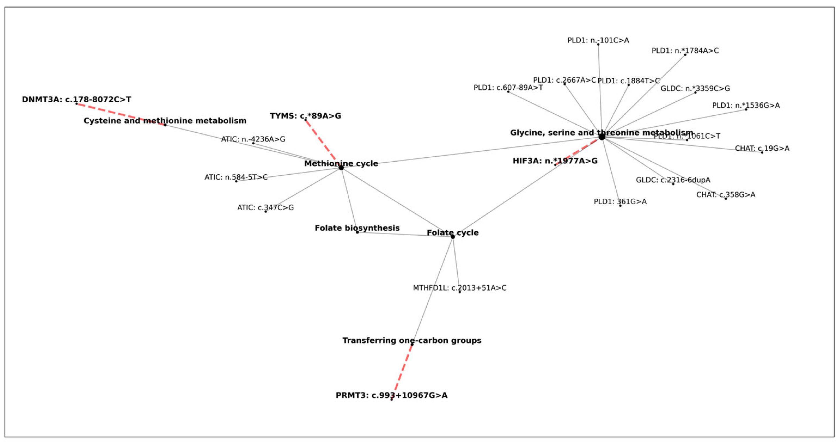 Nutrients 17 02133 g007