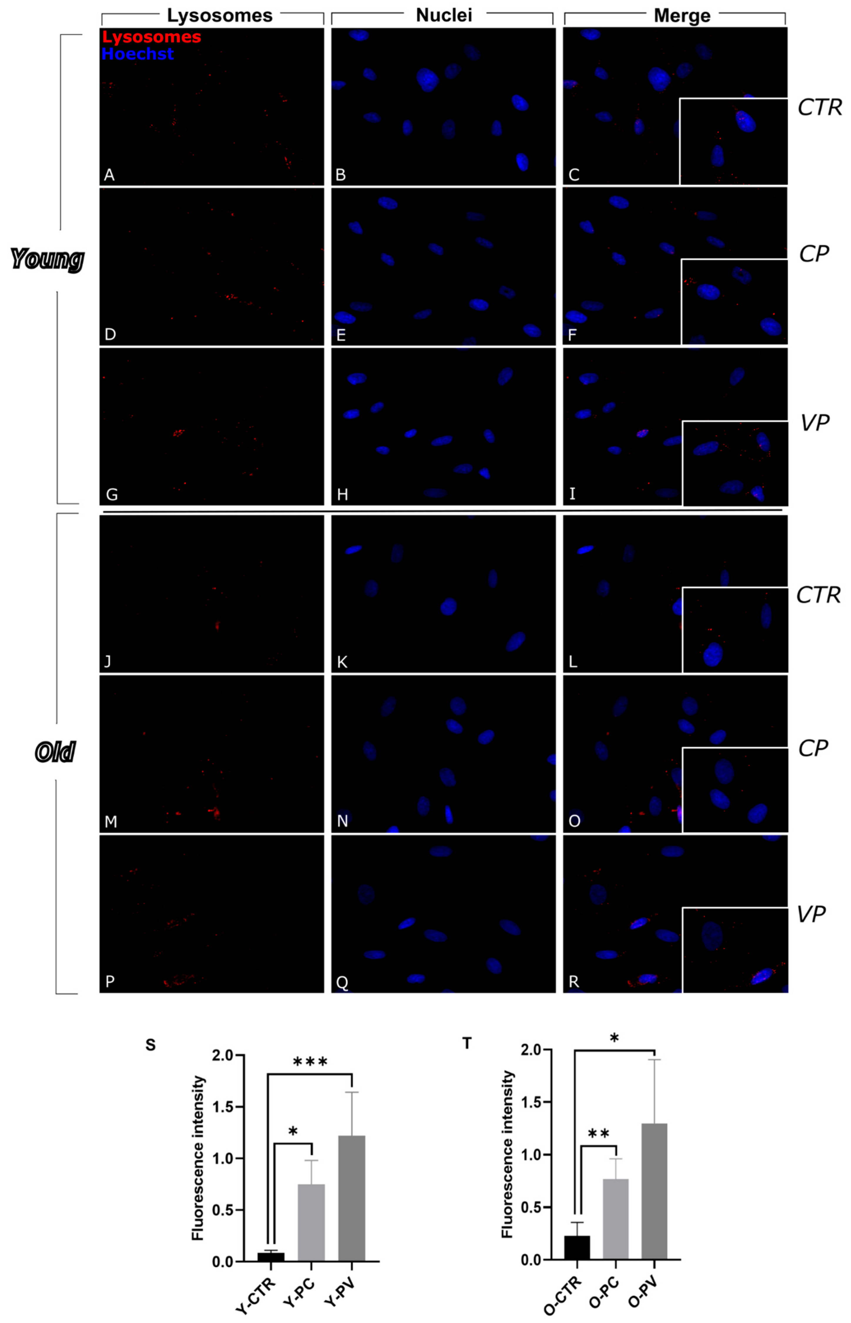 Nutrients 17 02147 g003