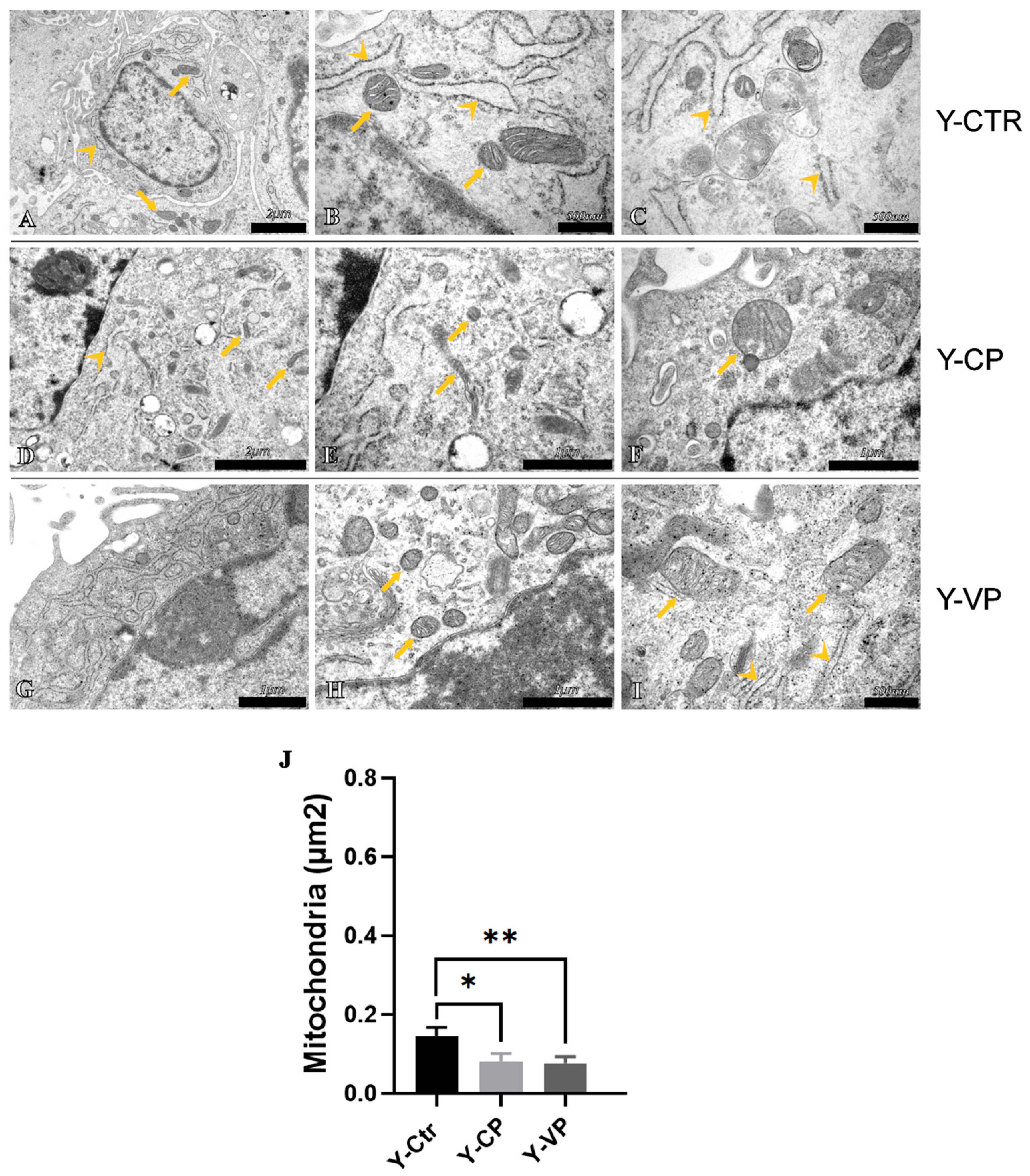 Nutrients 17 02147 g007