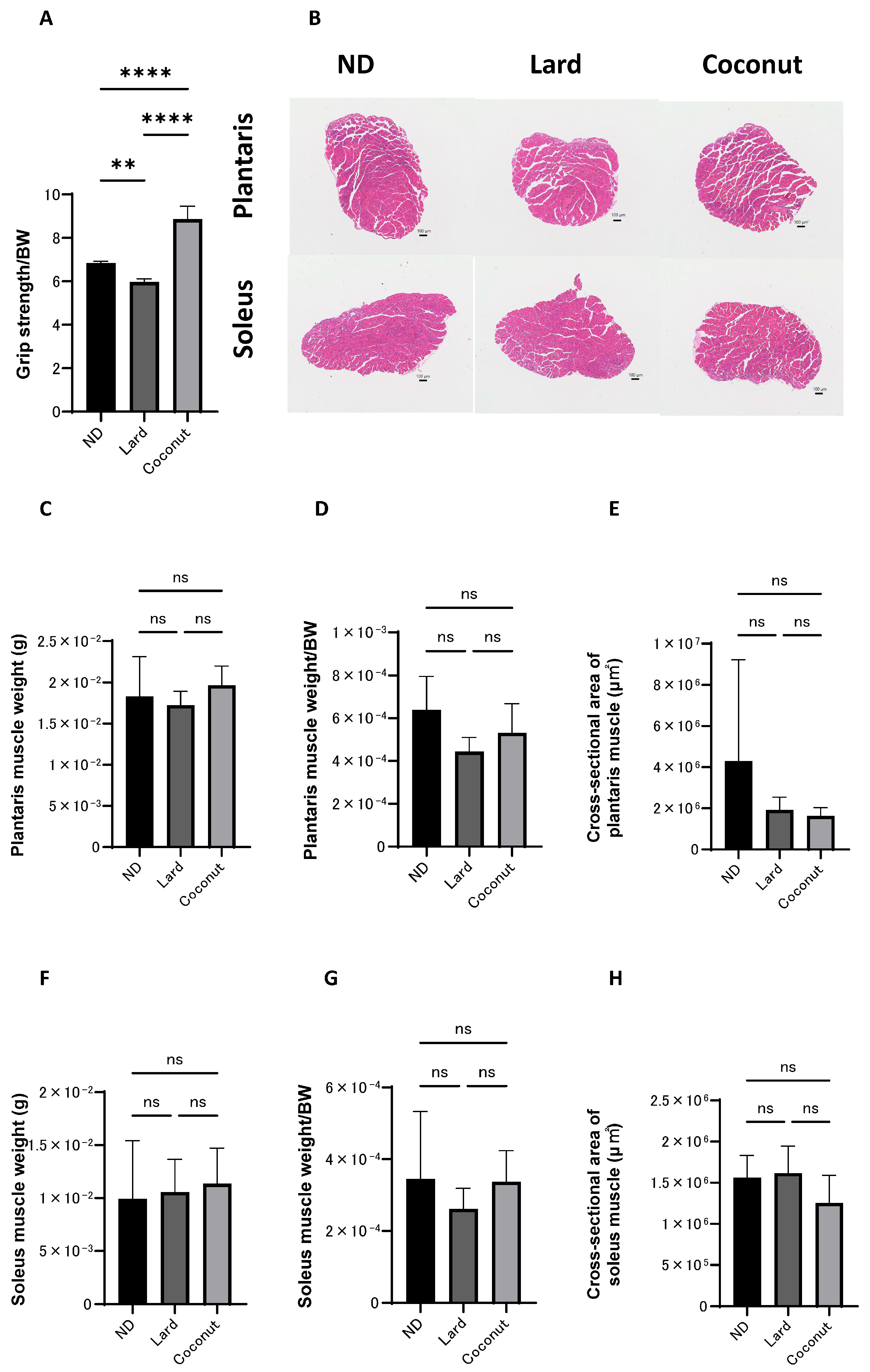 Nutrients 17 02154 g002