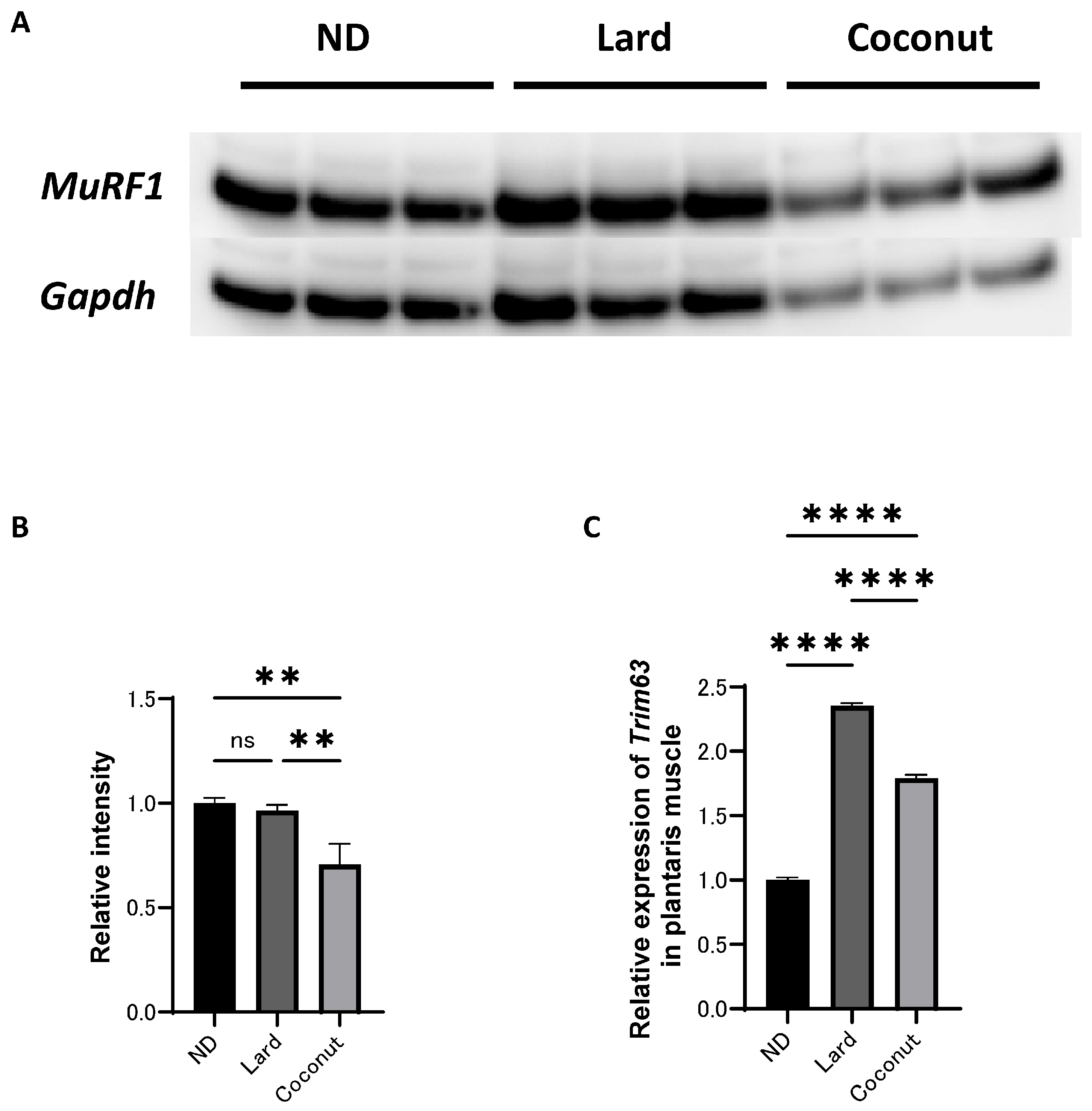 Nutrients 17 02154 g004