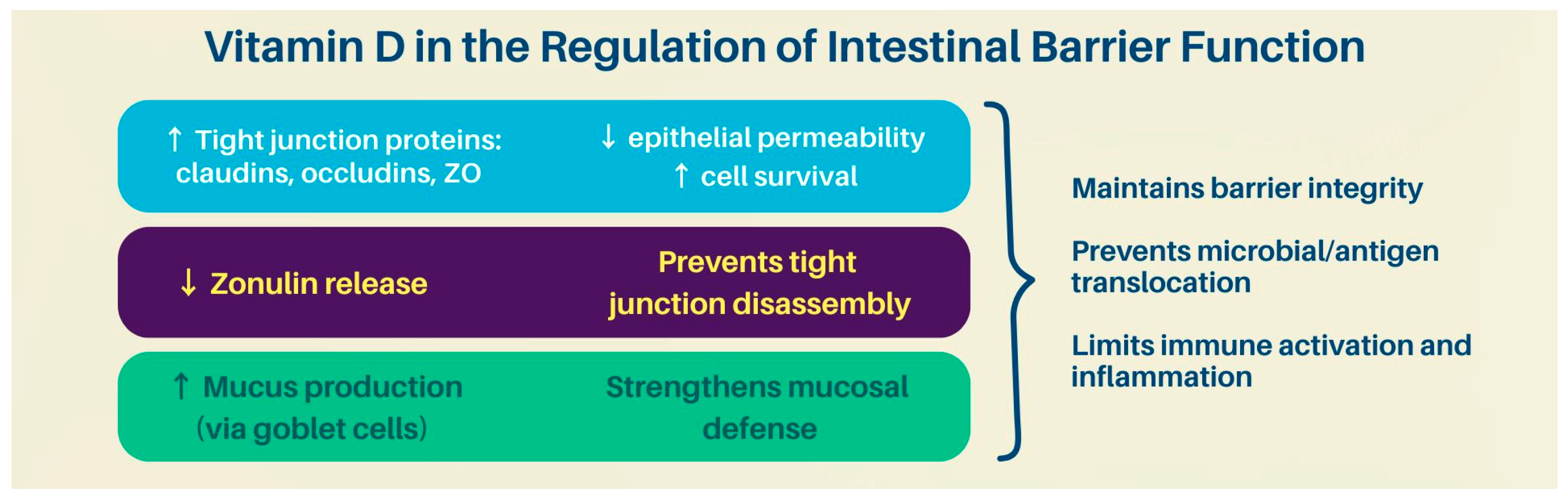Nutrients 17 02167 g001