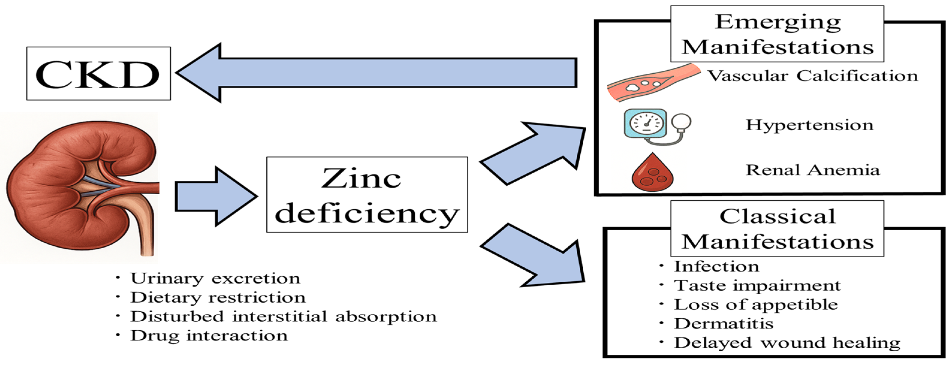 Nutrients 17 02191 g001
