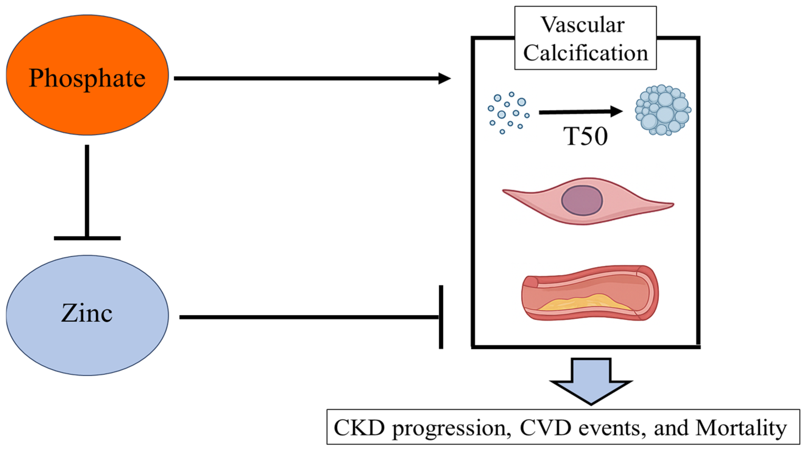 Nutrients 17 02191 g002