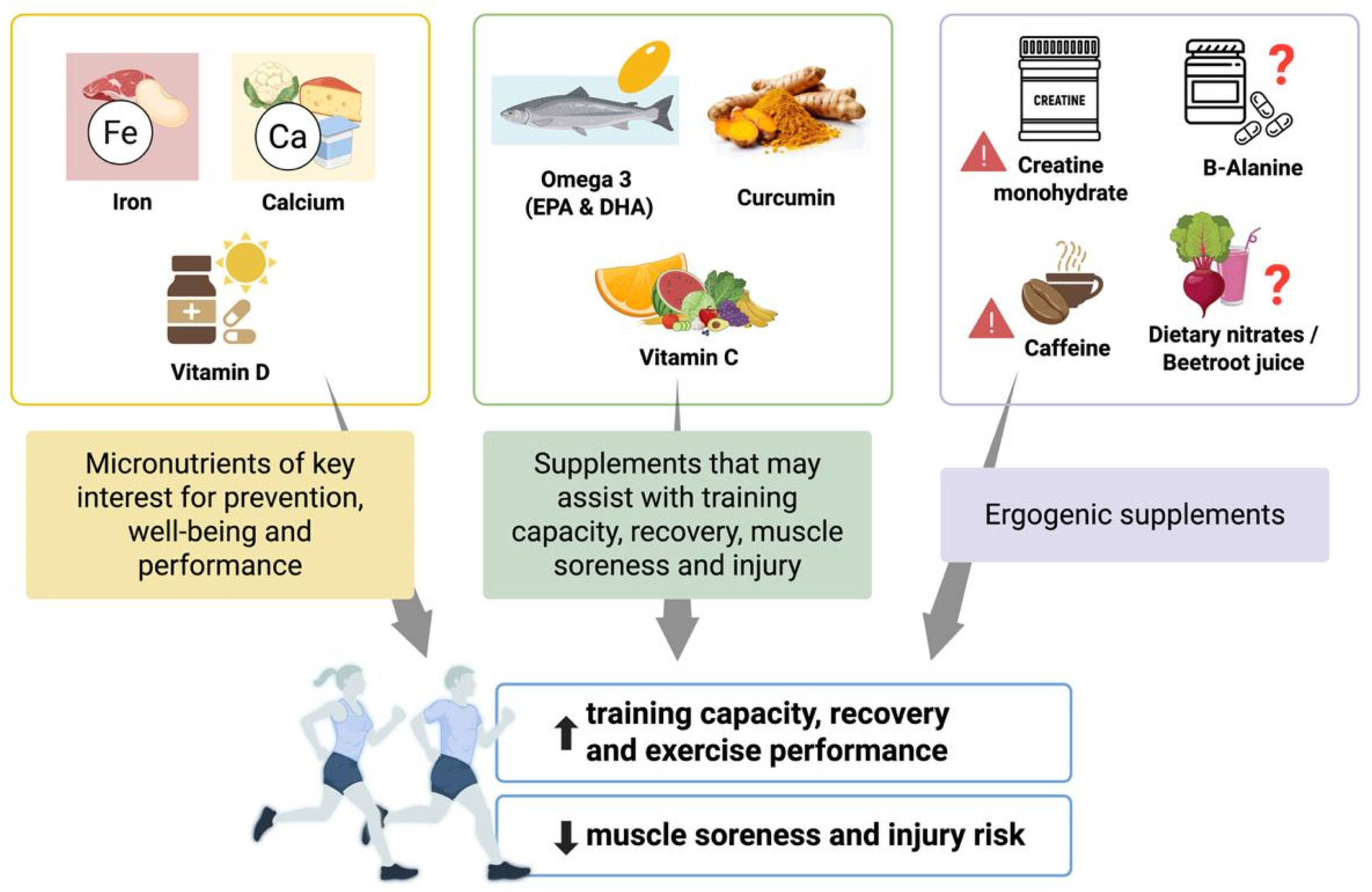 Nutrients 17 02194 g001