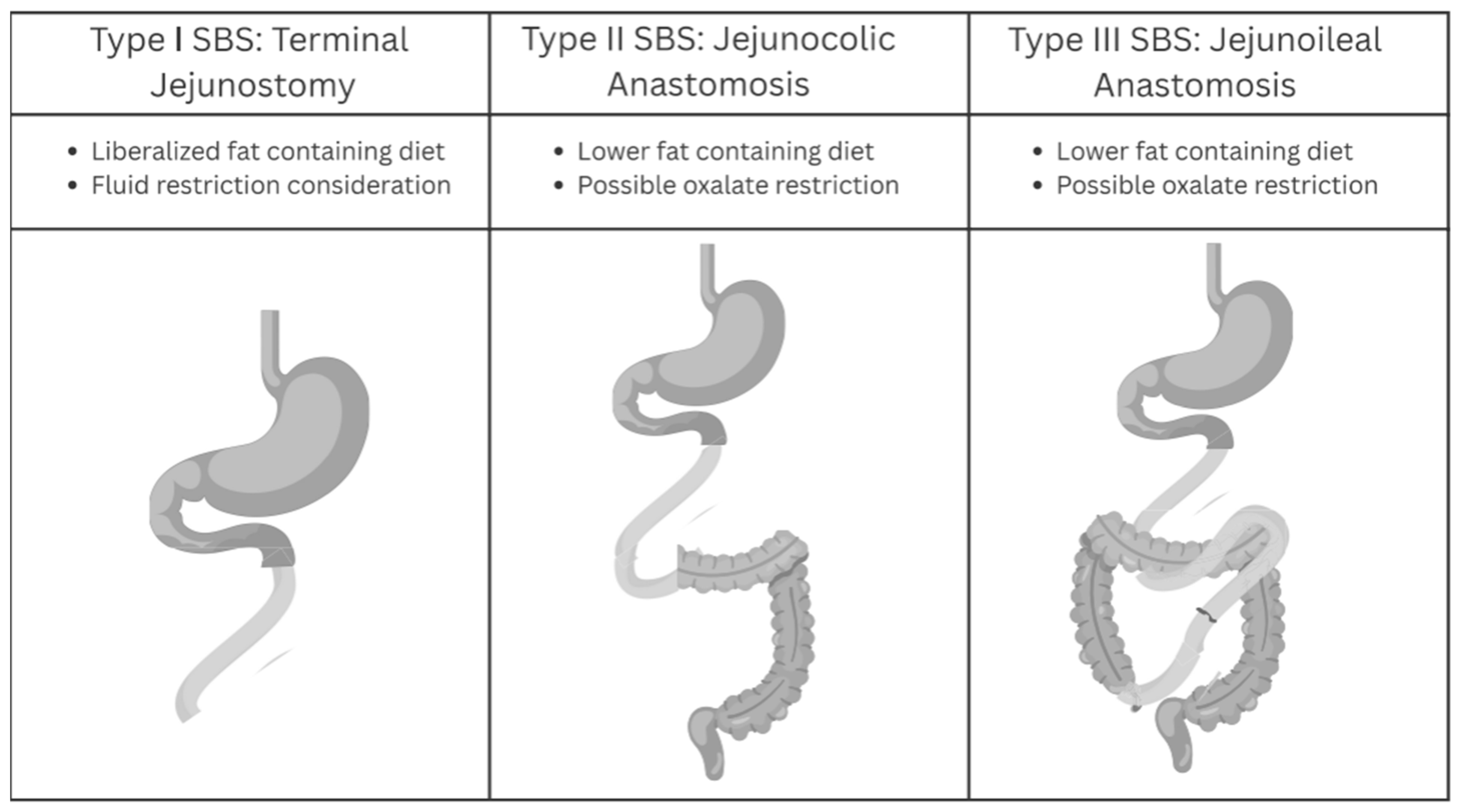 Nutrients 17 02198 g001