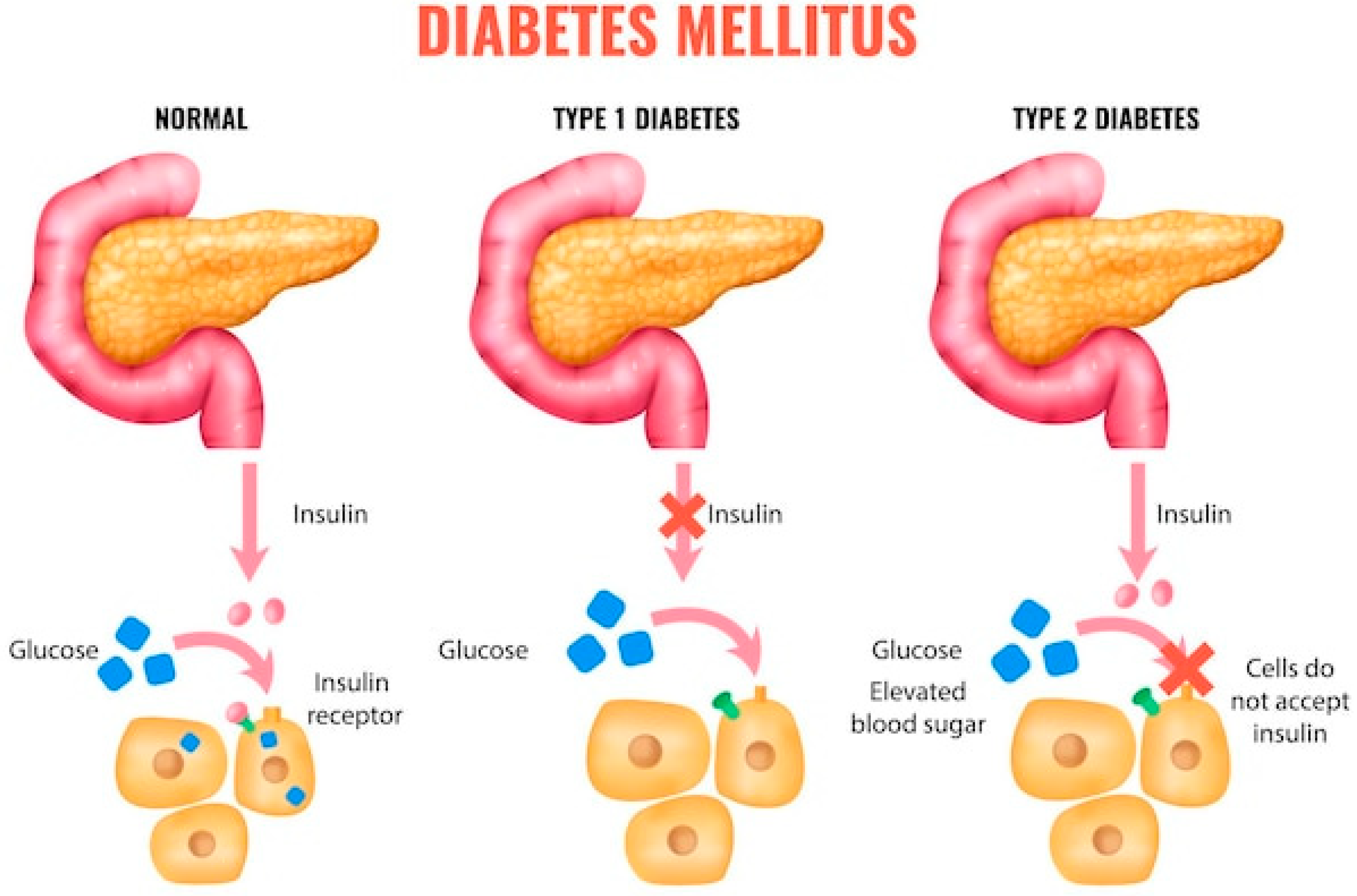 Nutrients 17 02199 g001