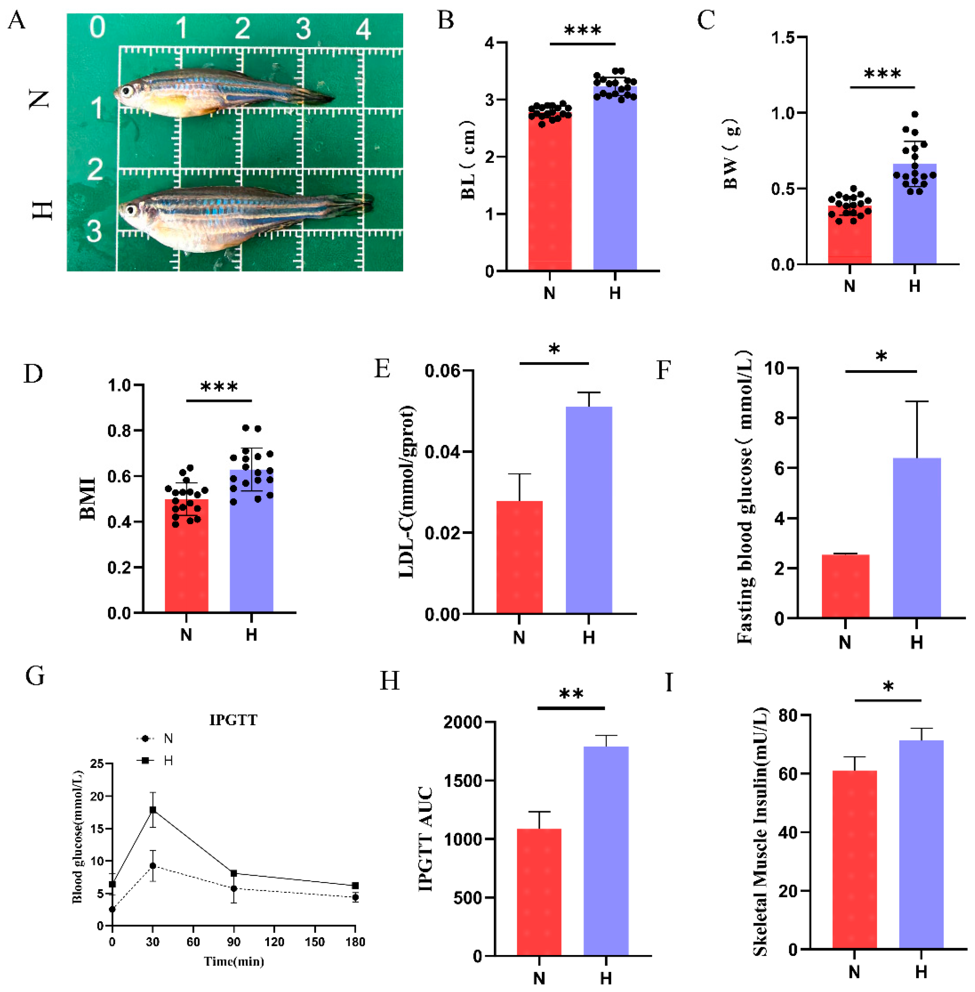 Nutrients 17 02209 g001