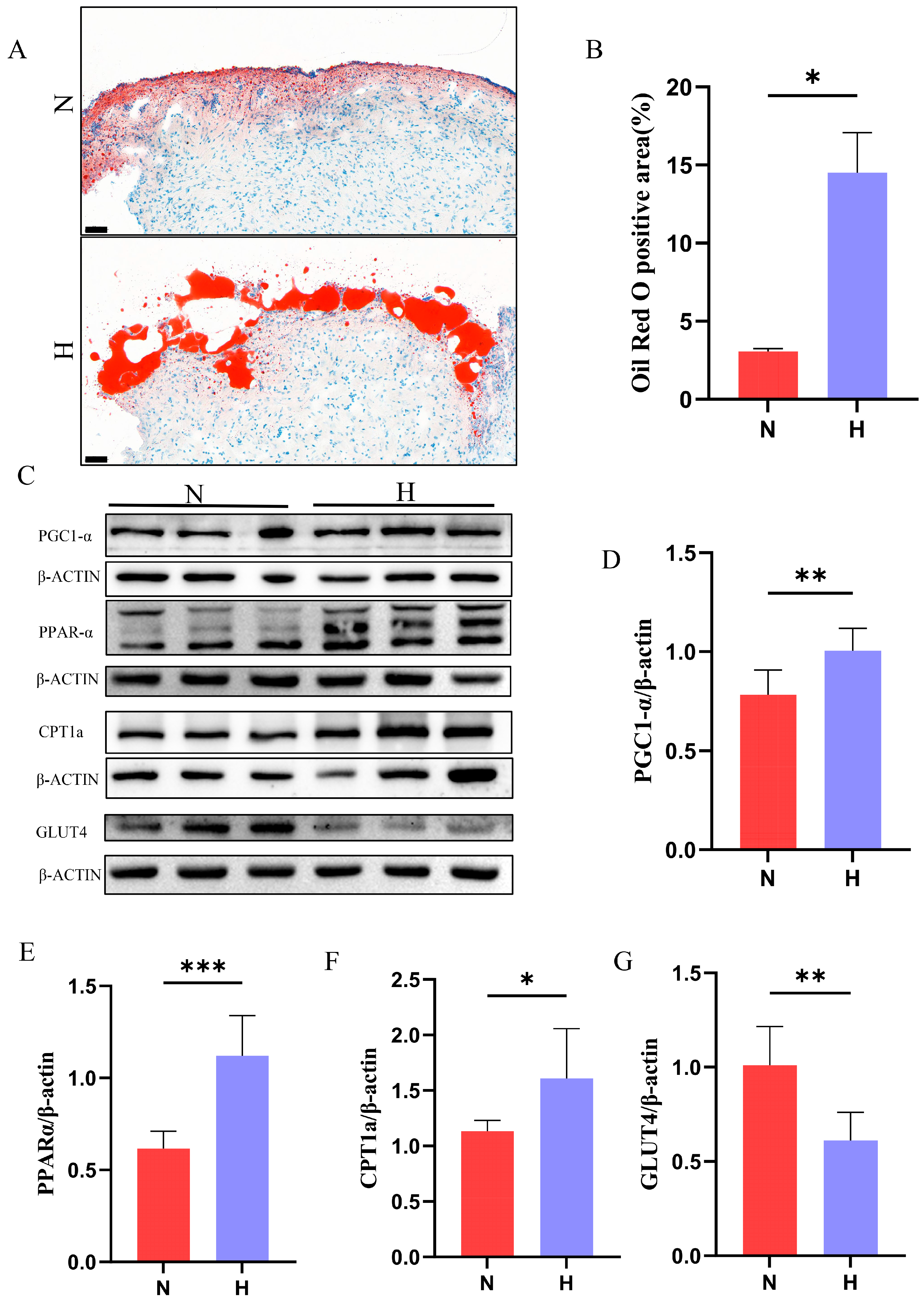Nutrients 17 02209 g004