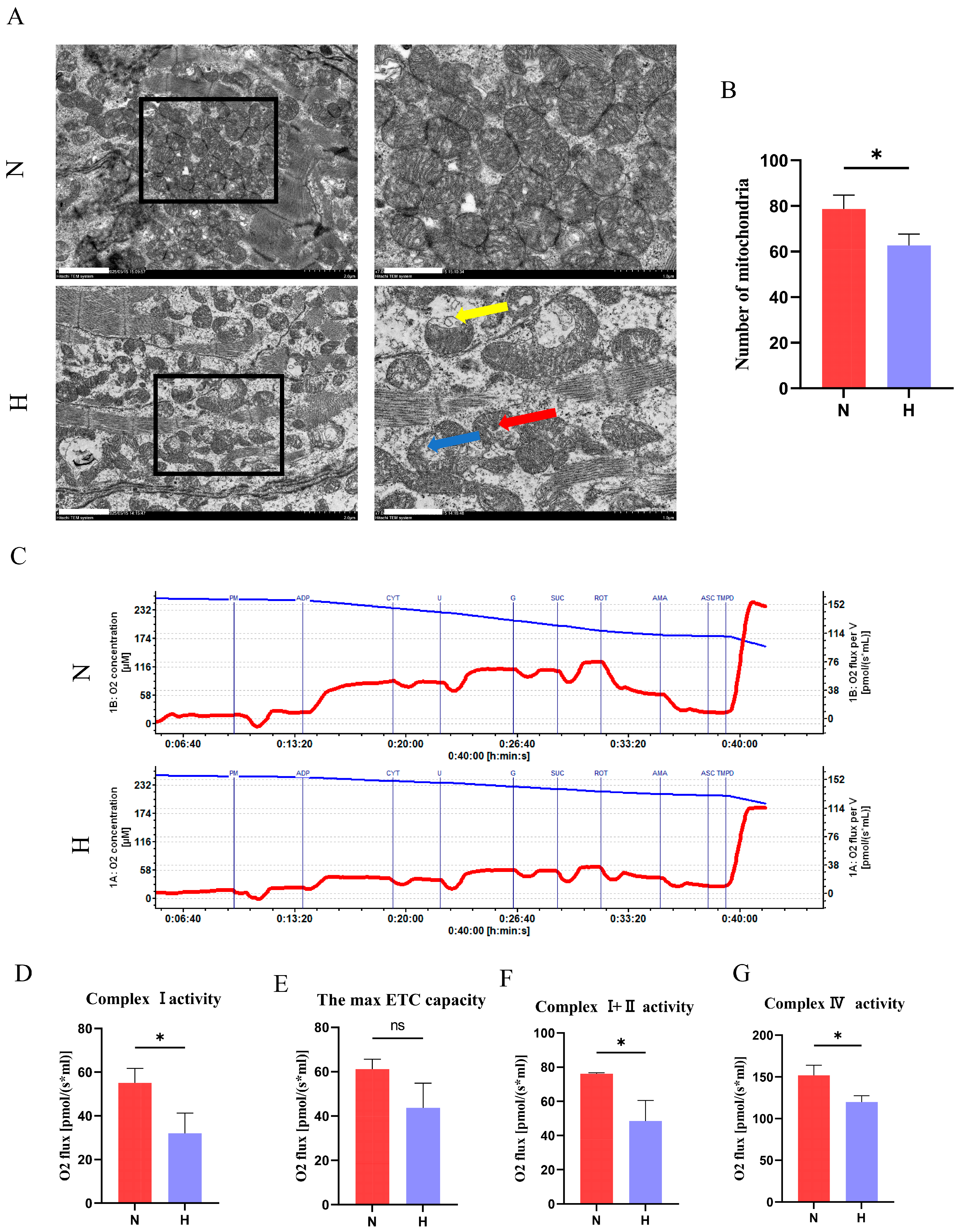 Nutrients 17 02209 g006