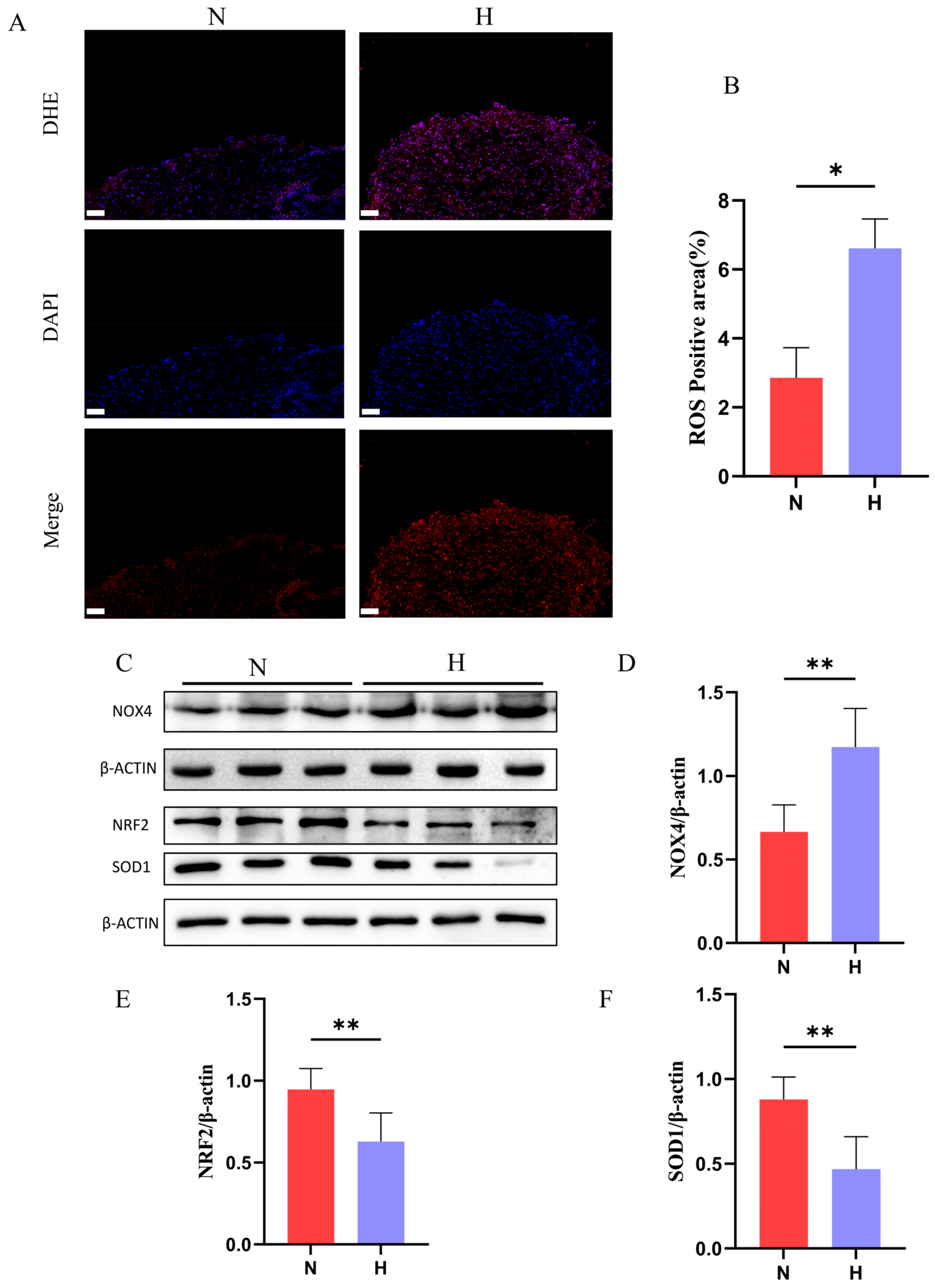 Nutrients 17 02209 g007