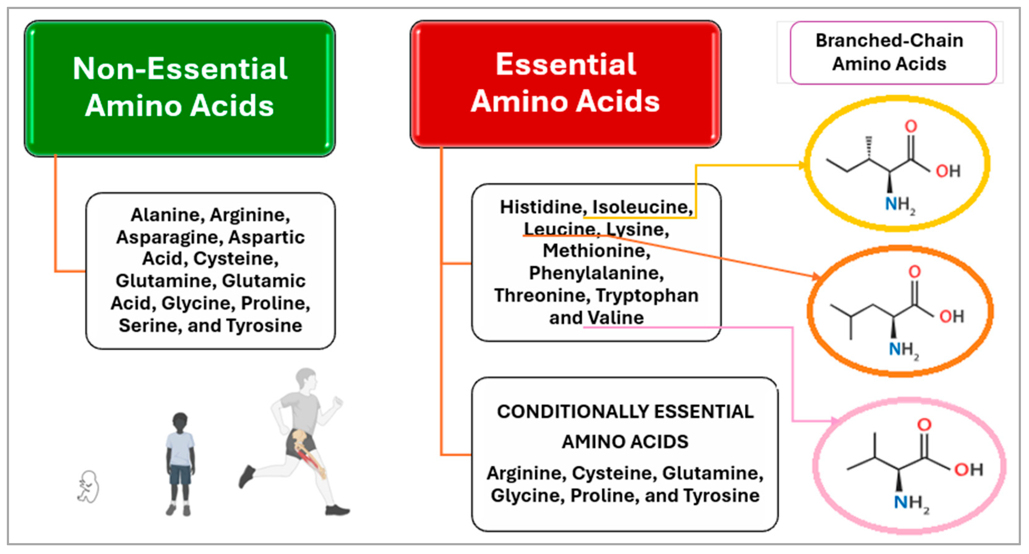 Nutrients 17 02221 g001 Nutrients 17 02221 g001