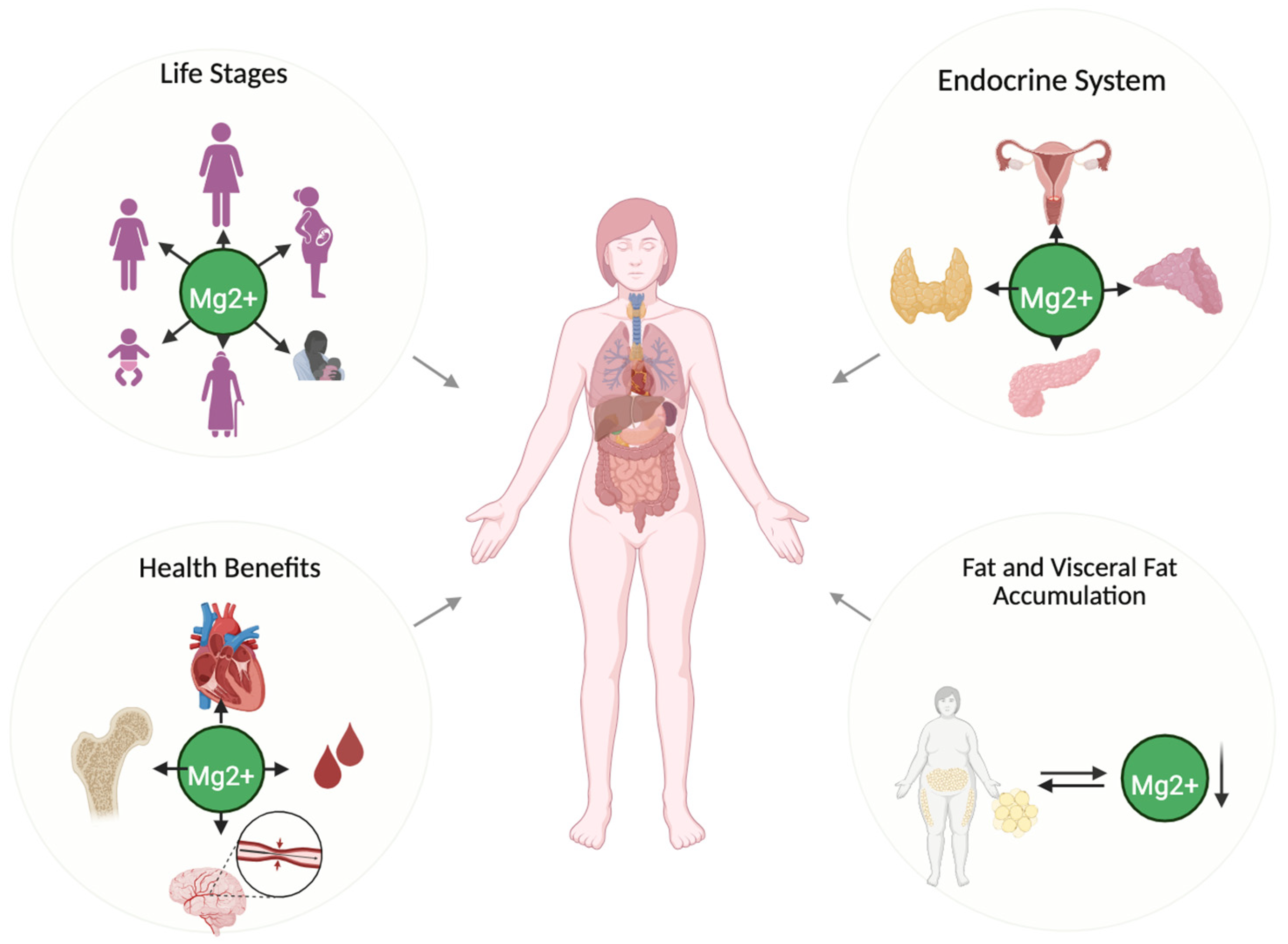 Nutrients 17 02226 g001