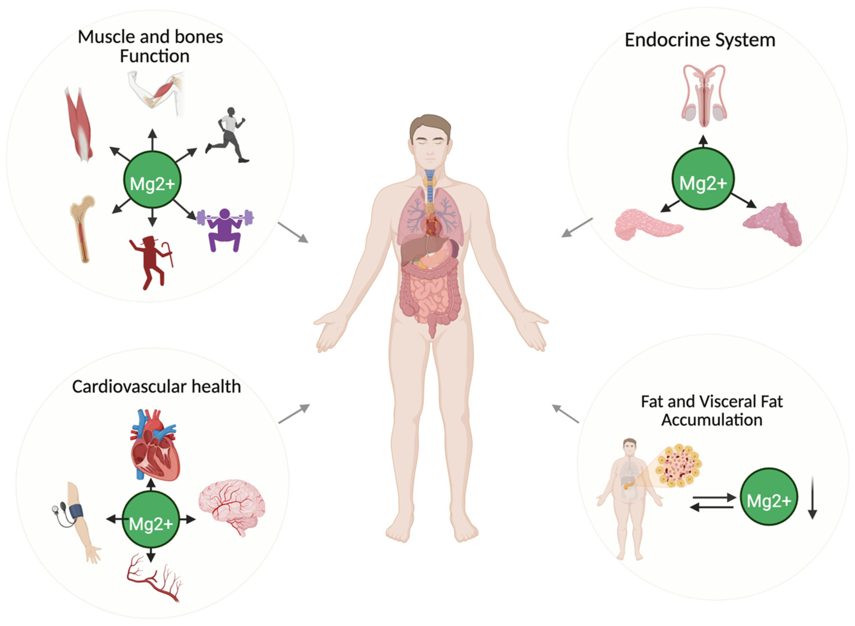 Nutrients 17 02226 g002