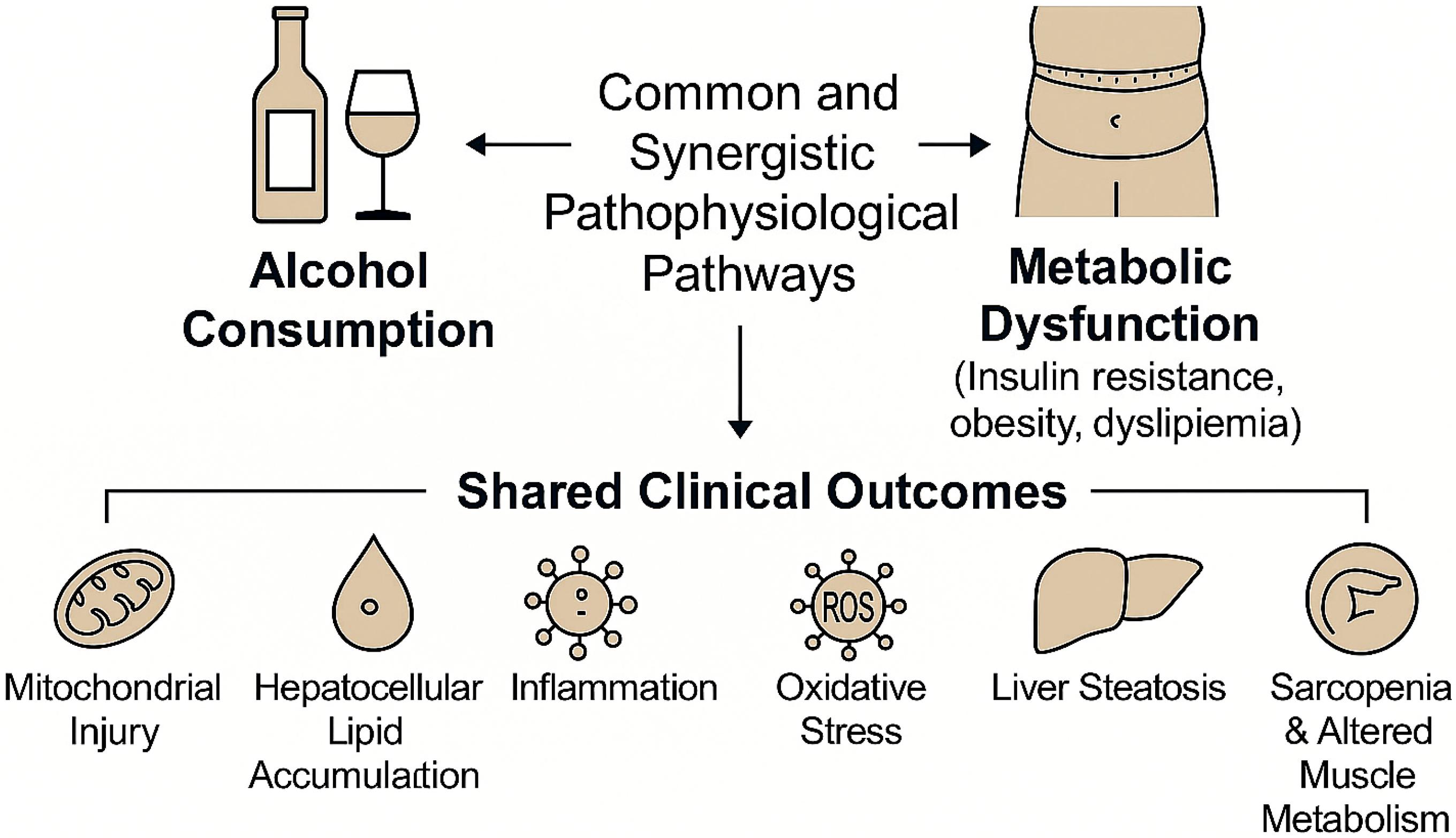 Nutrients 17 02229 g005