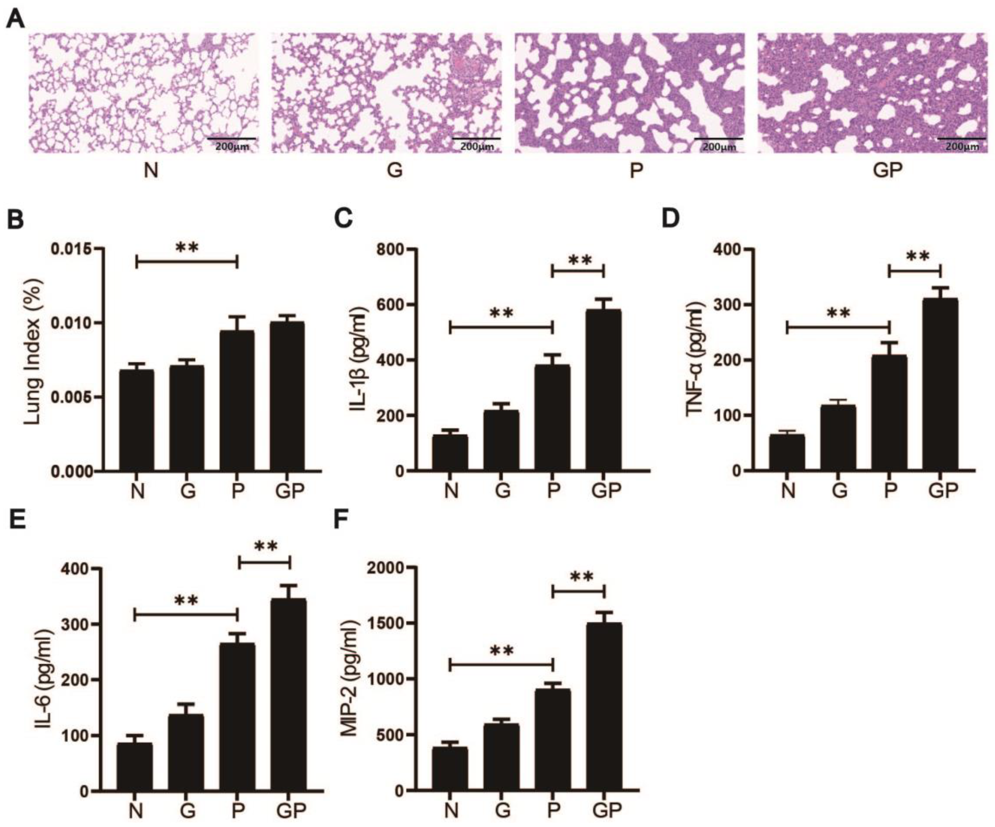 Nutrients 17 02242 g001 Nutrients 17 02242 g001